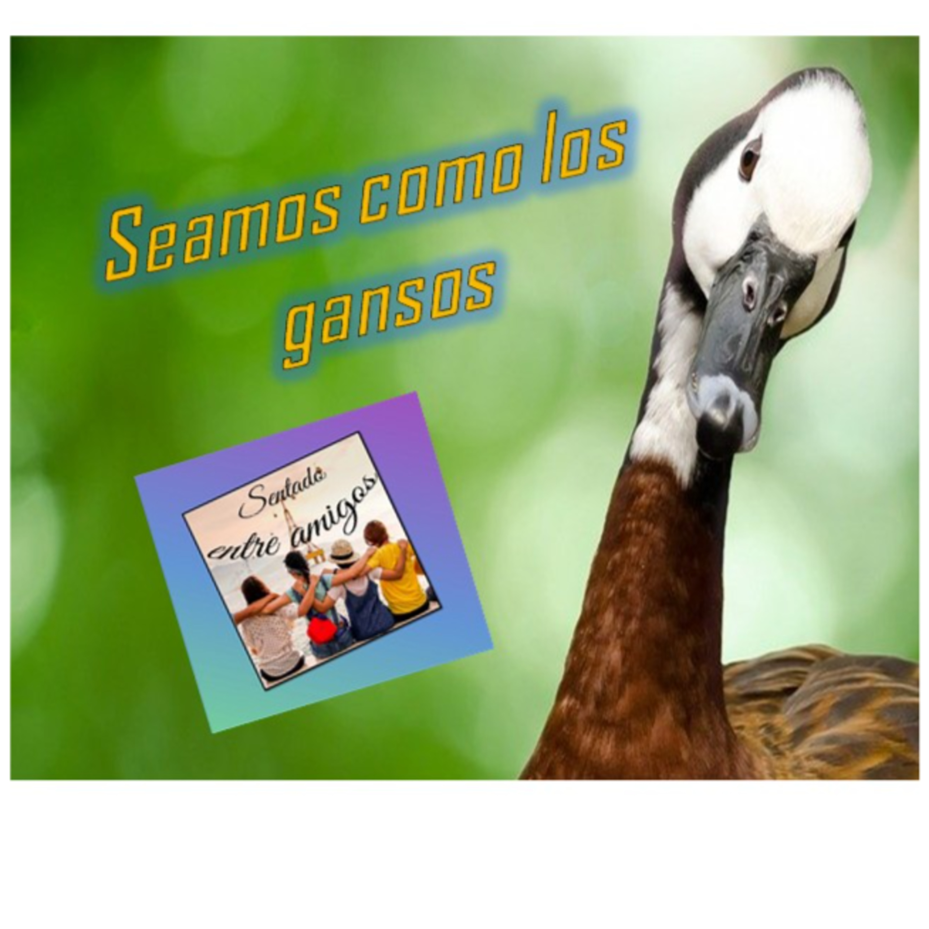 Seamos como los gansos episode artwork