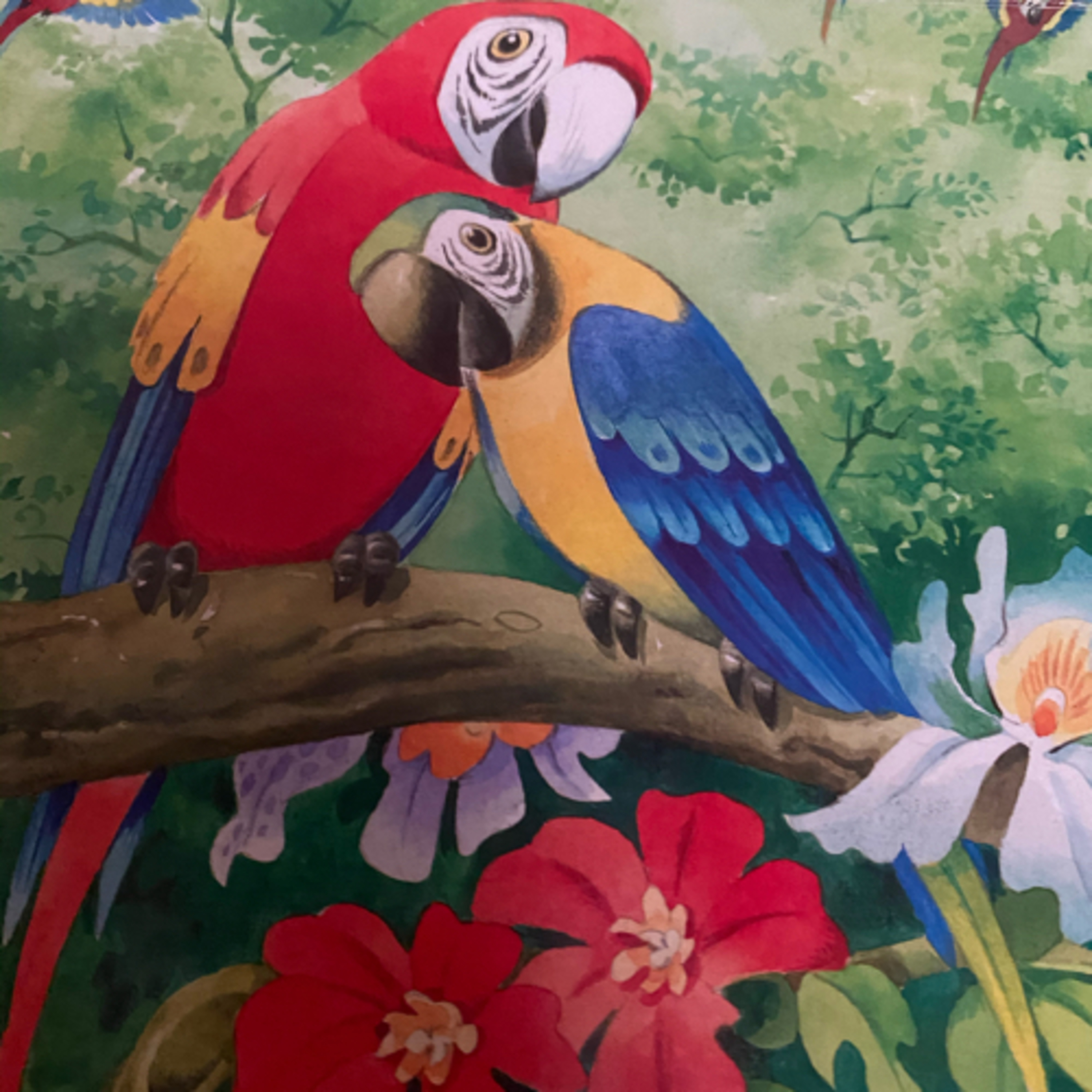 🦜🌸🌺I PAPPAGALLI 🌺🌸🦜 episode artwork