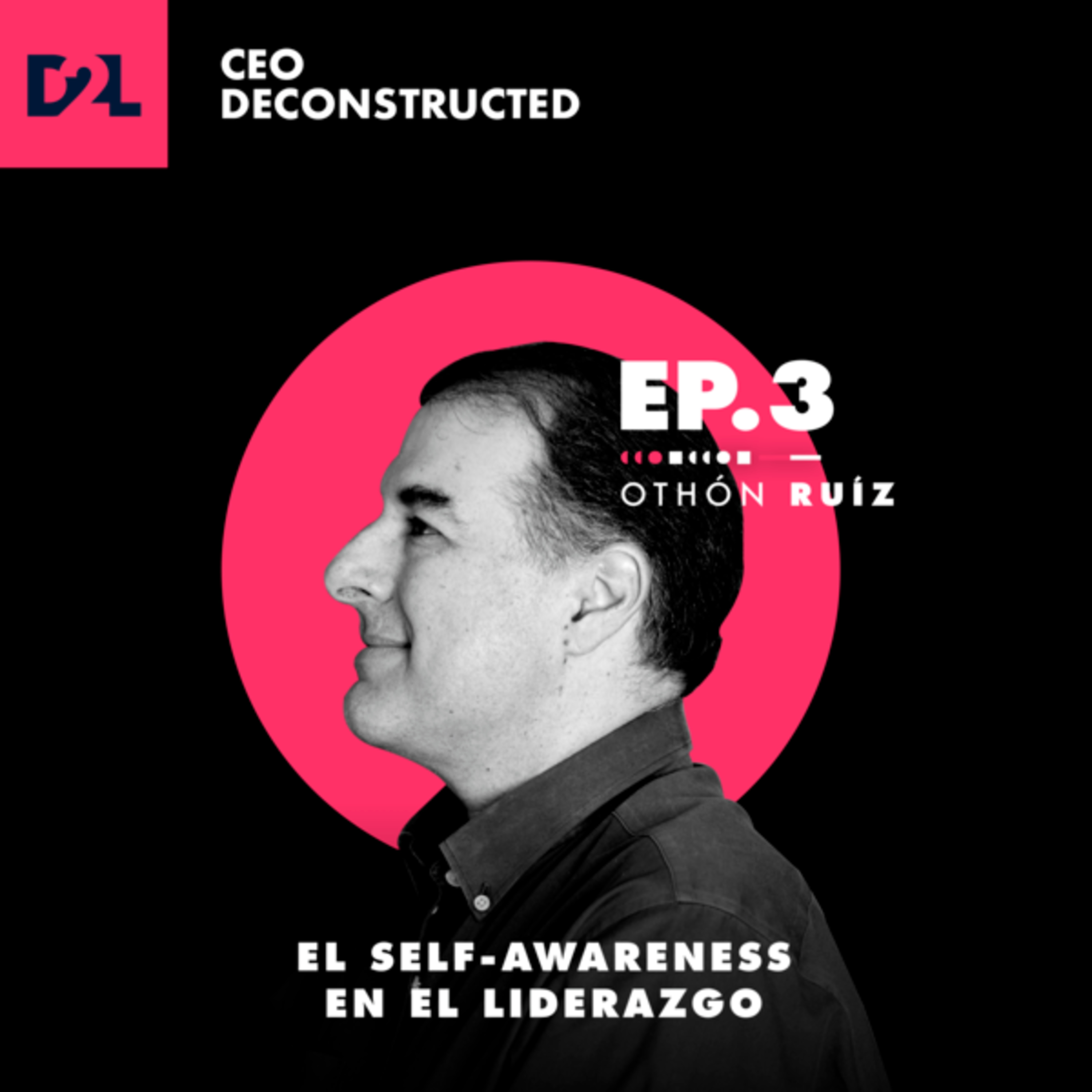 CEO Deconstructed