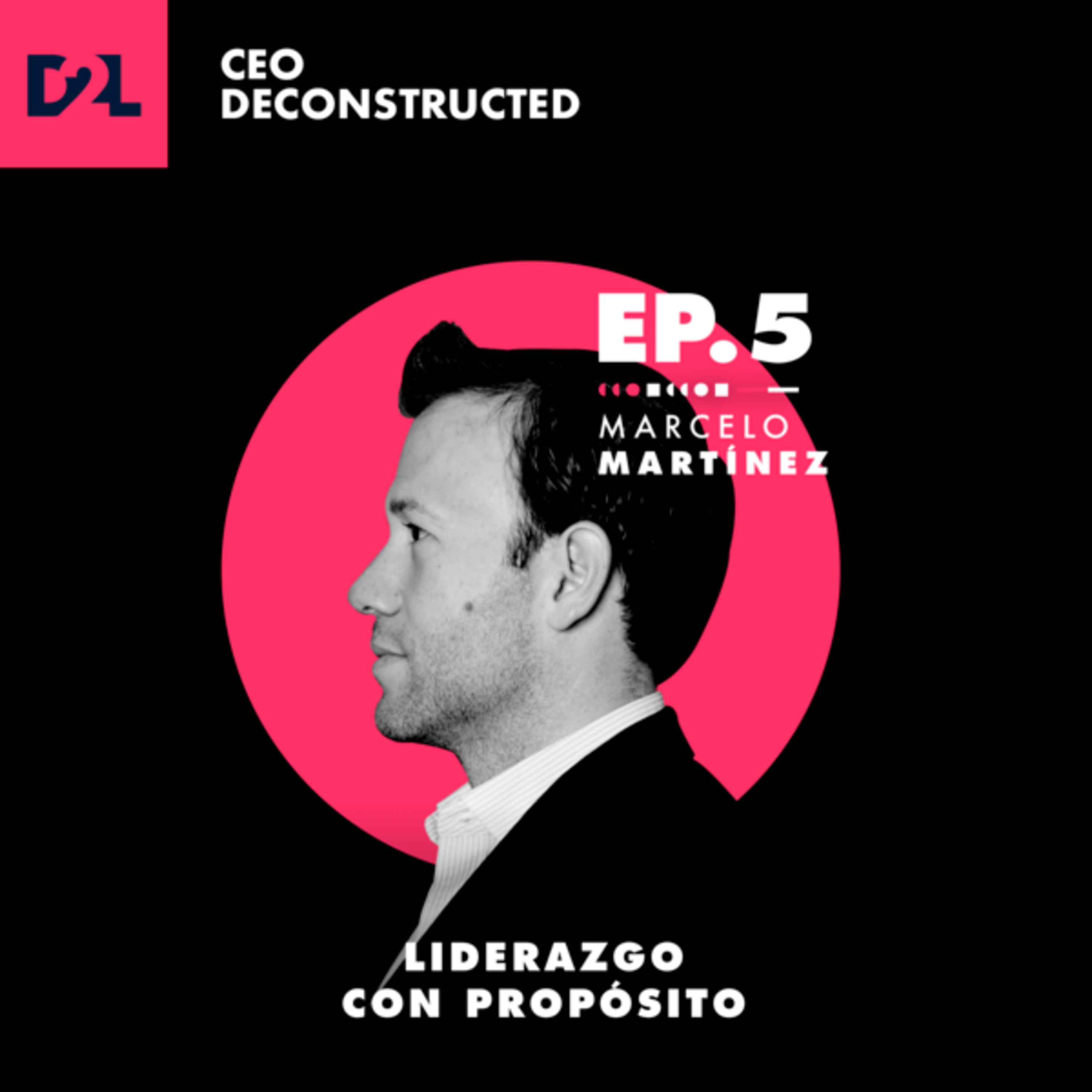 CEO Deconstructed