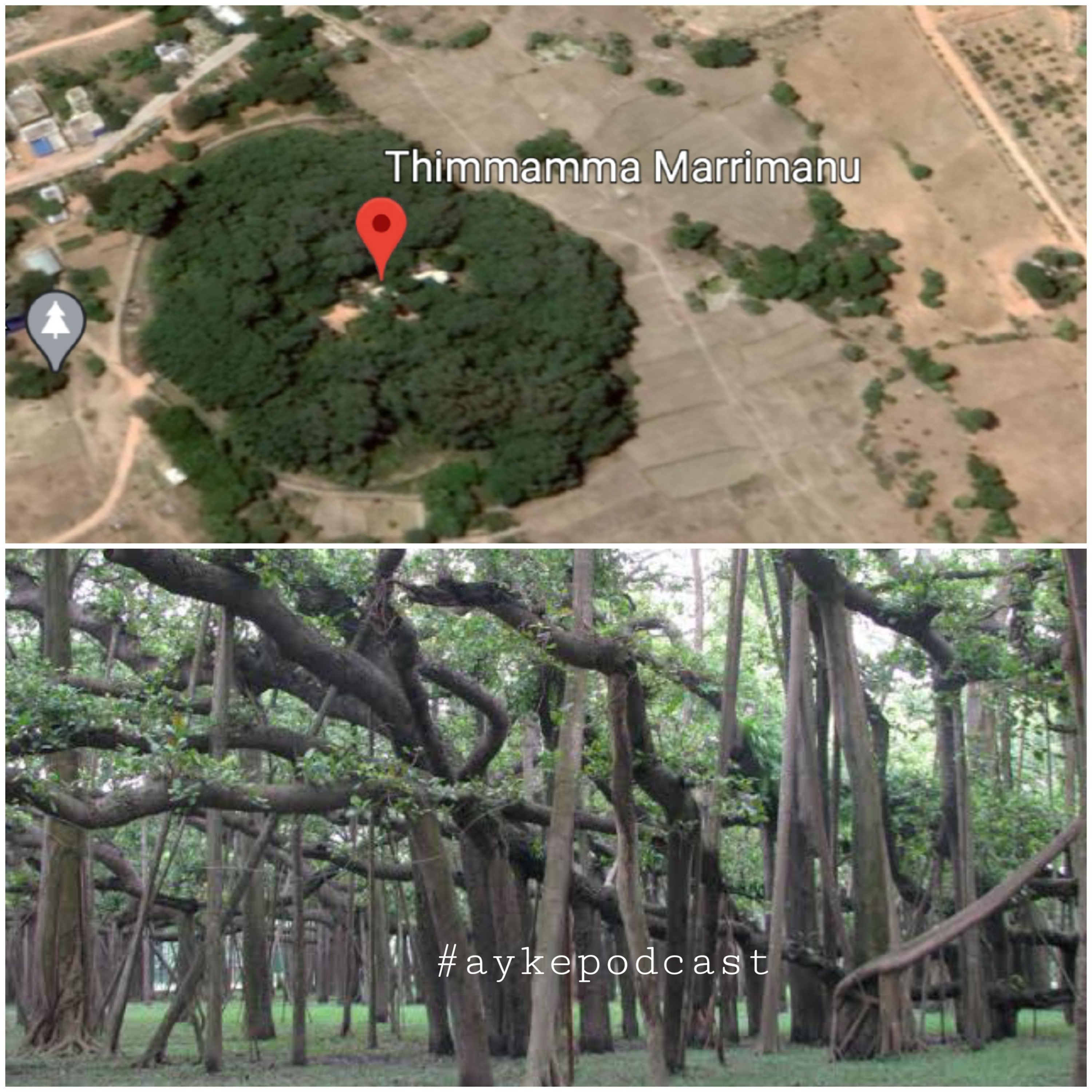 AYKE ಆಯ್ಕೆ -from Shreekanth Hegde