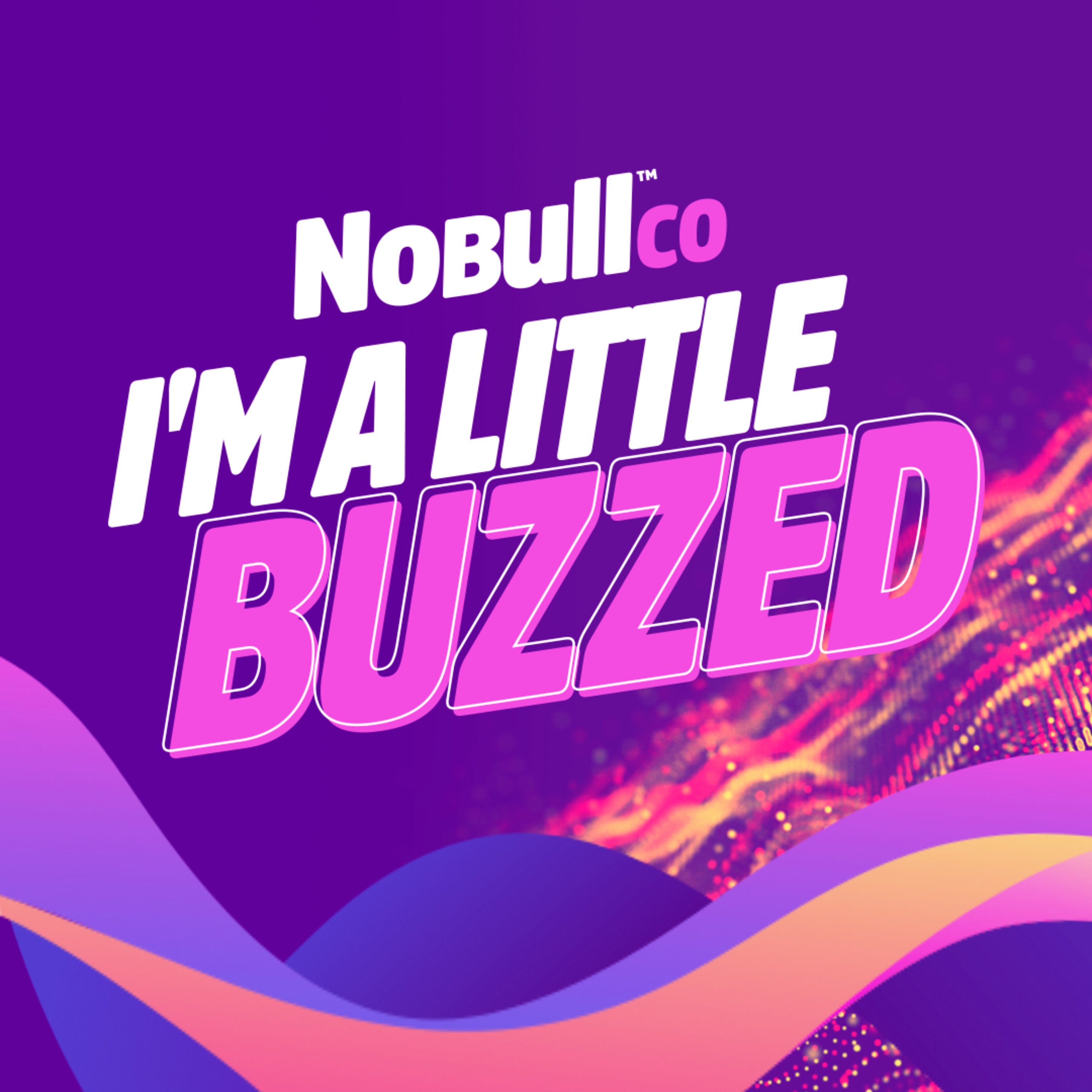 Overcoming Insecurities When Building a Personal Brand | I’m a Little Buzzed Team