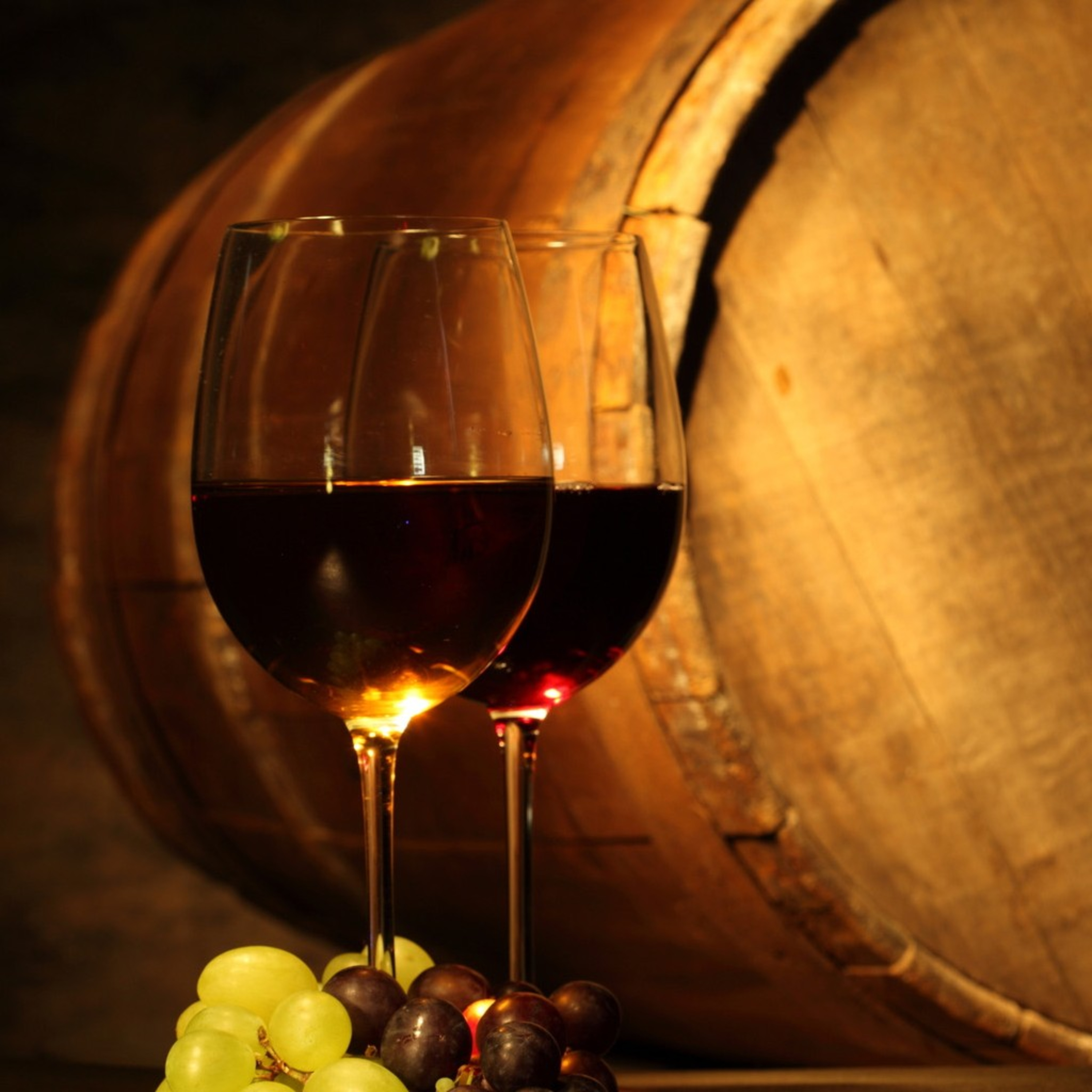 Novella 25: IL VINO BUONO (letta da Elena Pecorari)