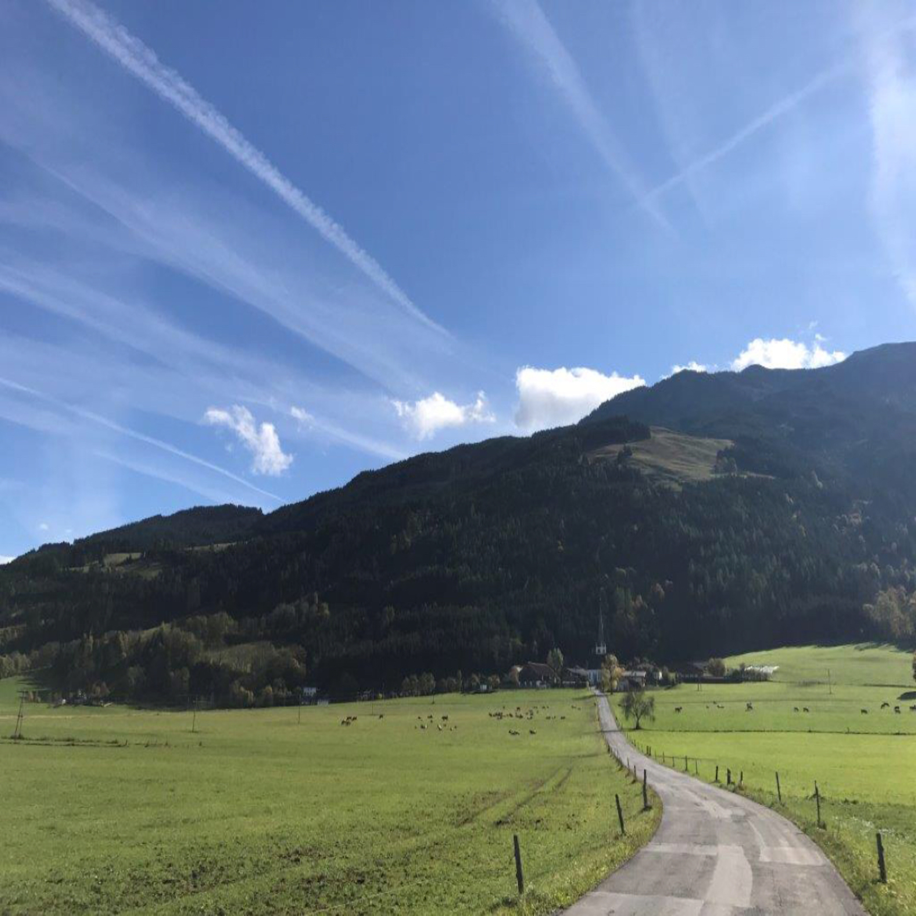 herzkoerpergeist