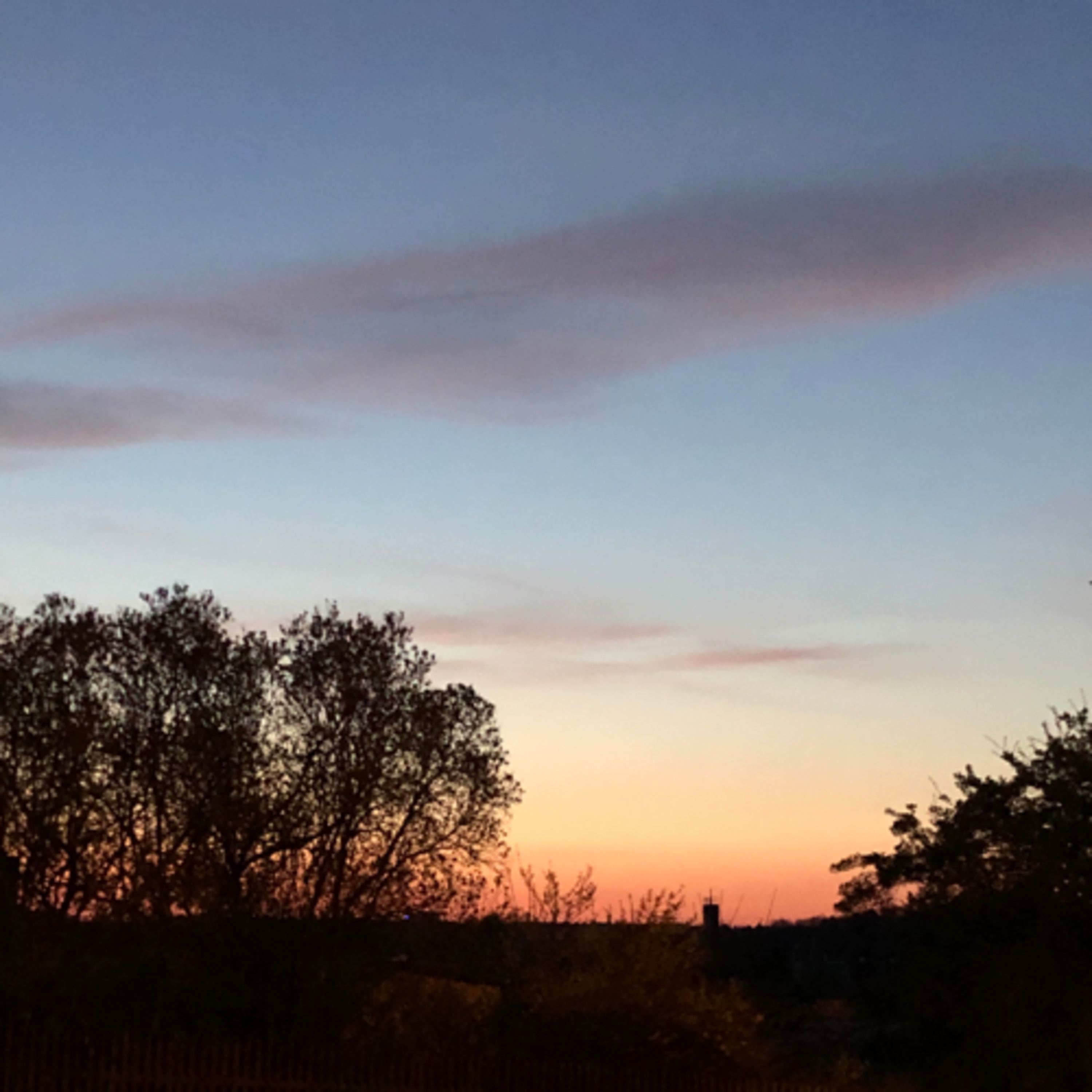 herzkoerpergeist