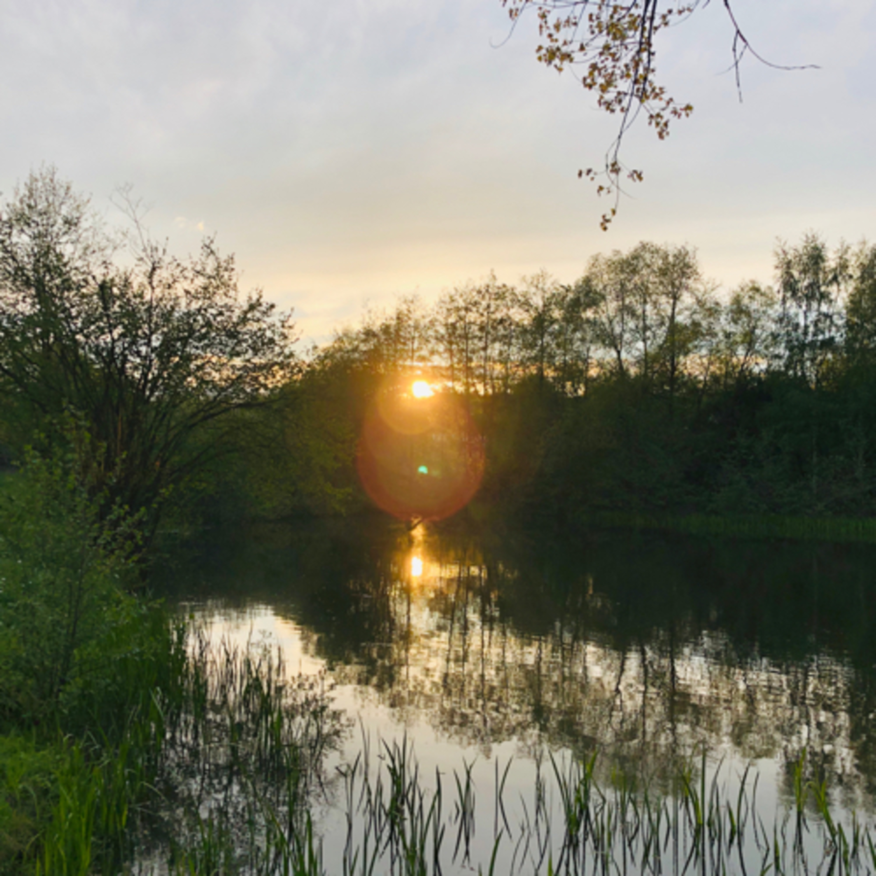 herzkoerpergeist