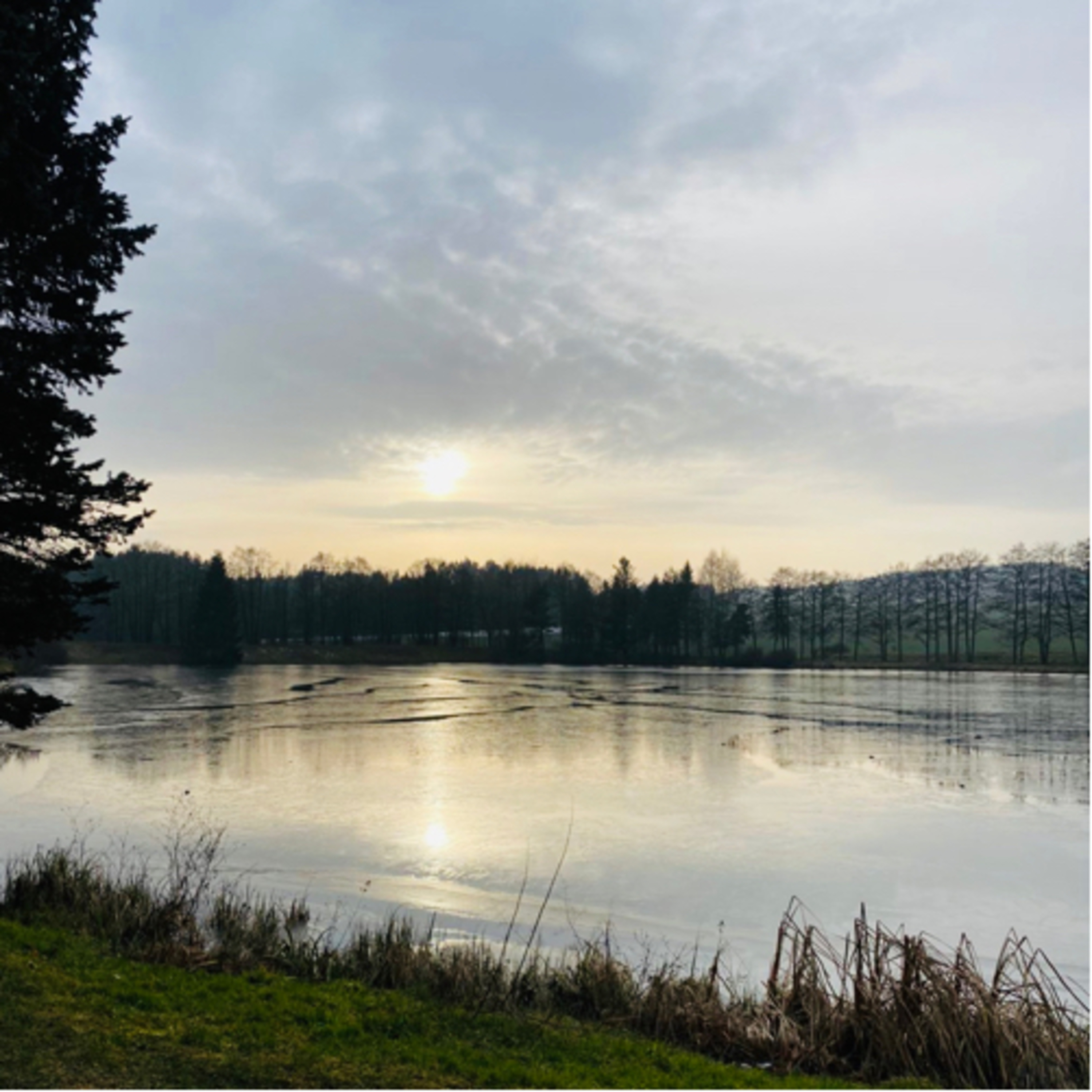 herzkoerpergeist