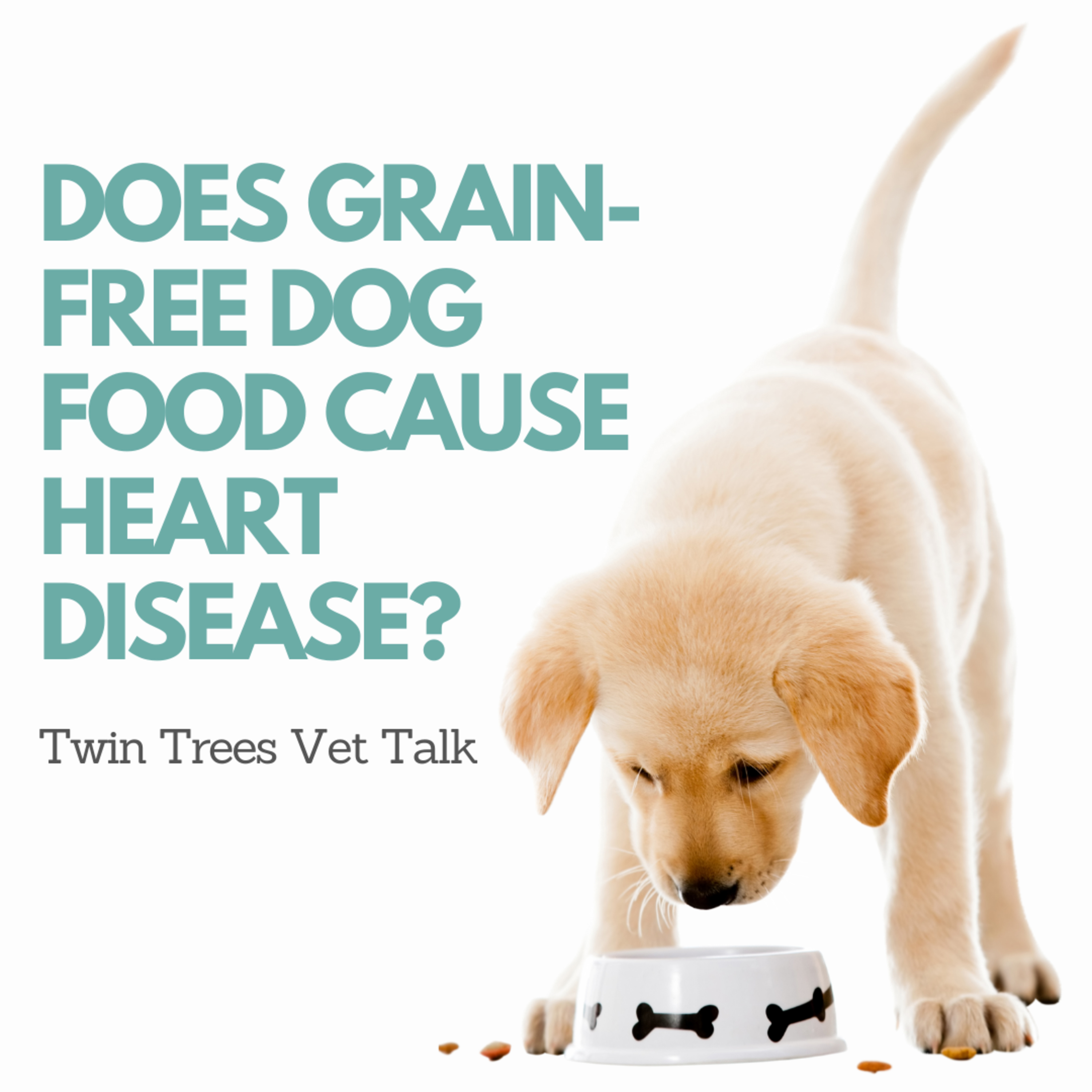 Twin Trees Vet Talk│Free Vet Advice Podcast