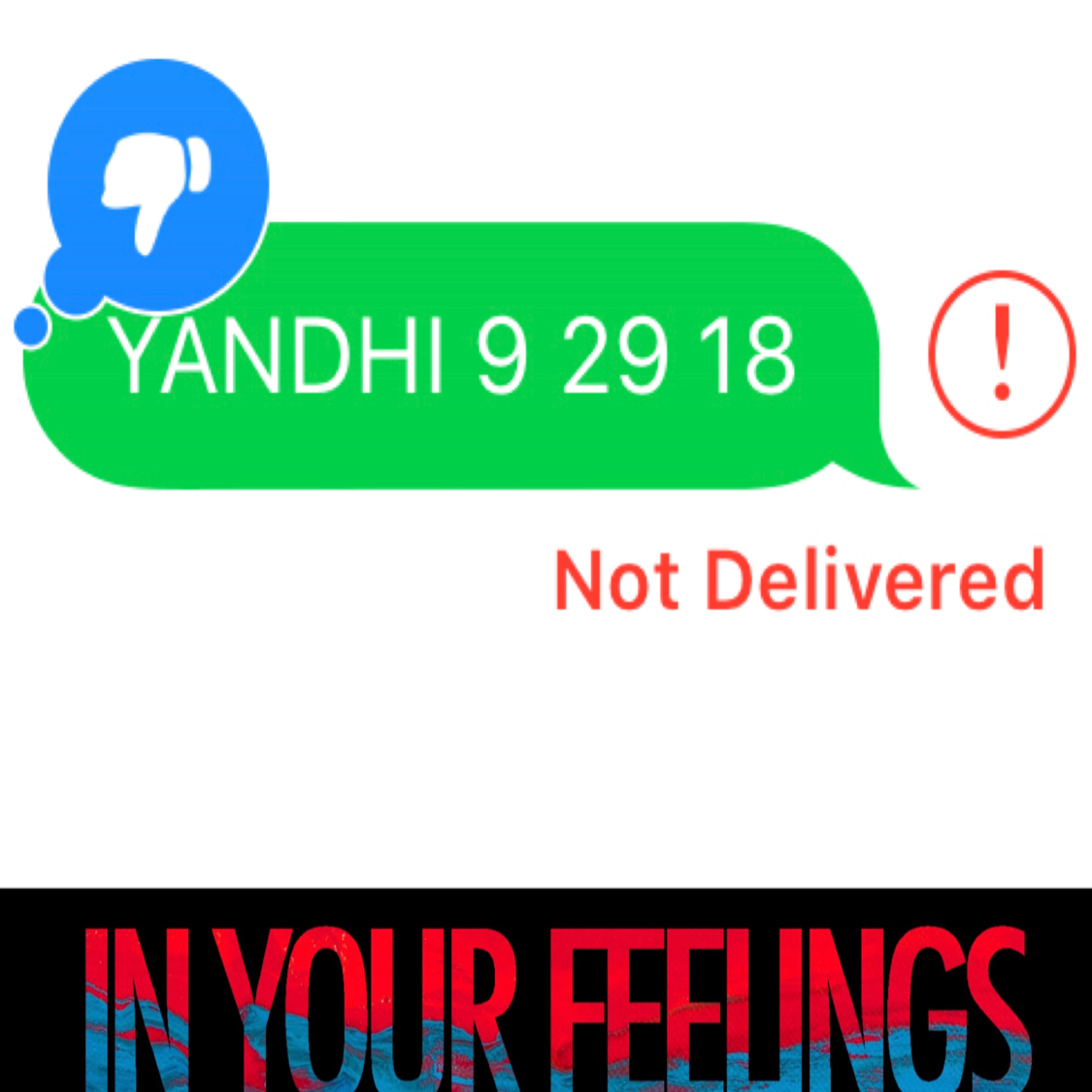 IN YOUR FEELINGS PODCAST