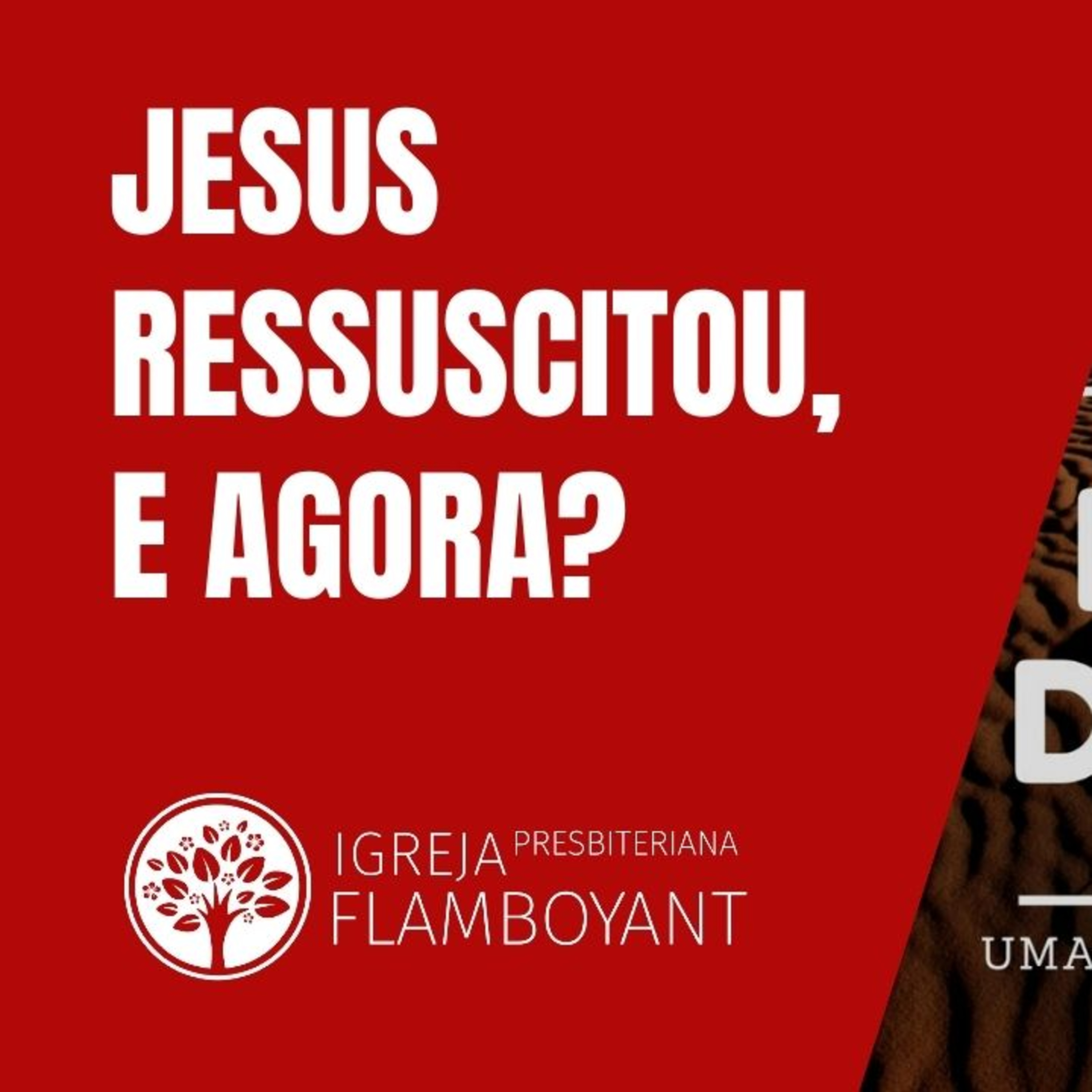 Igreja Presbiteriana Flamboyant