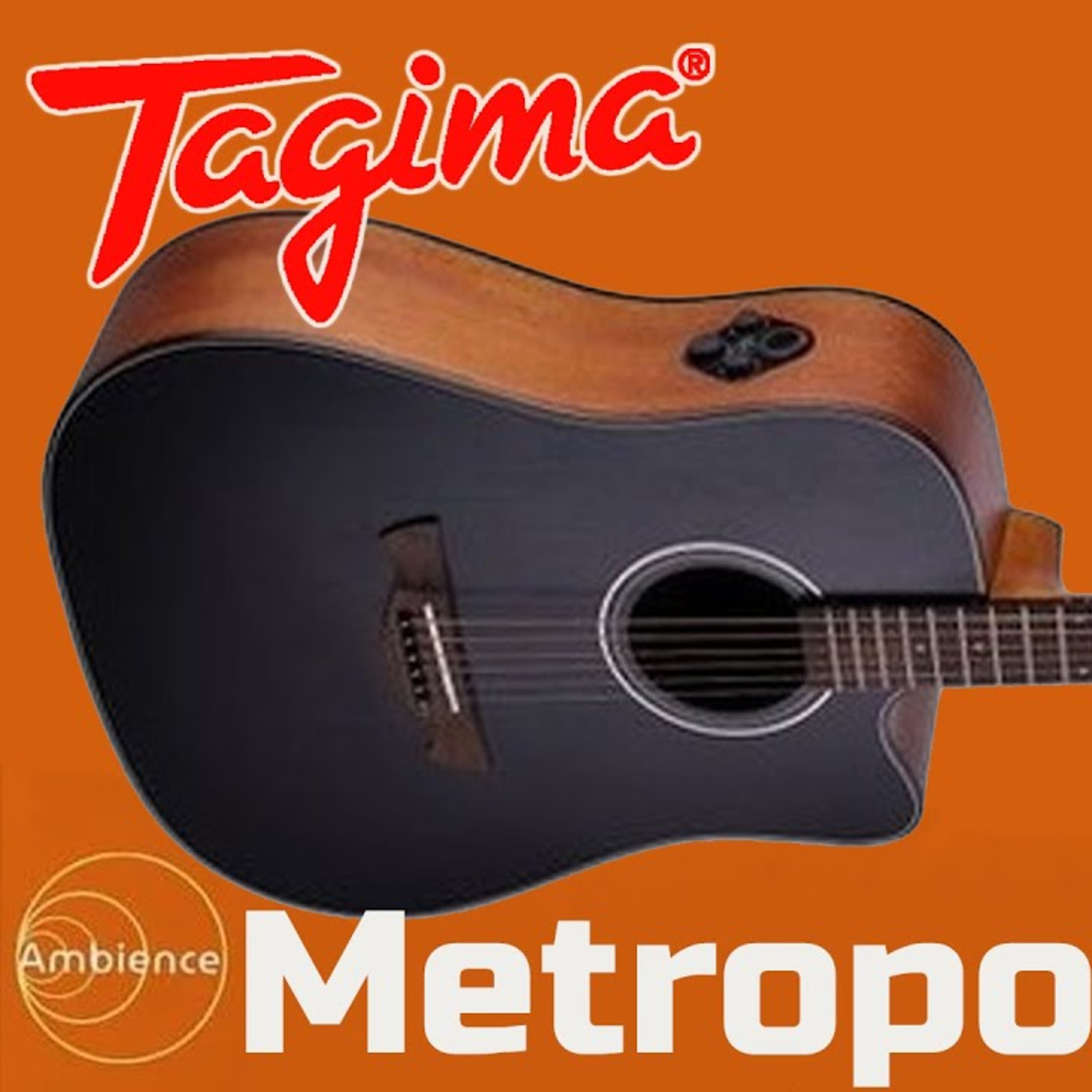 Manual do Guitarrista Ruim
