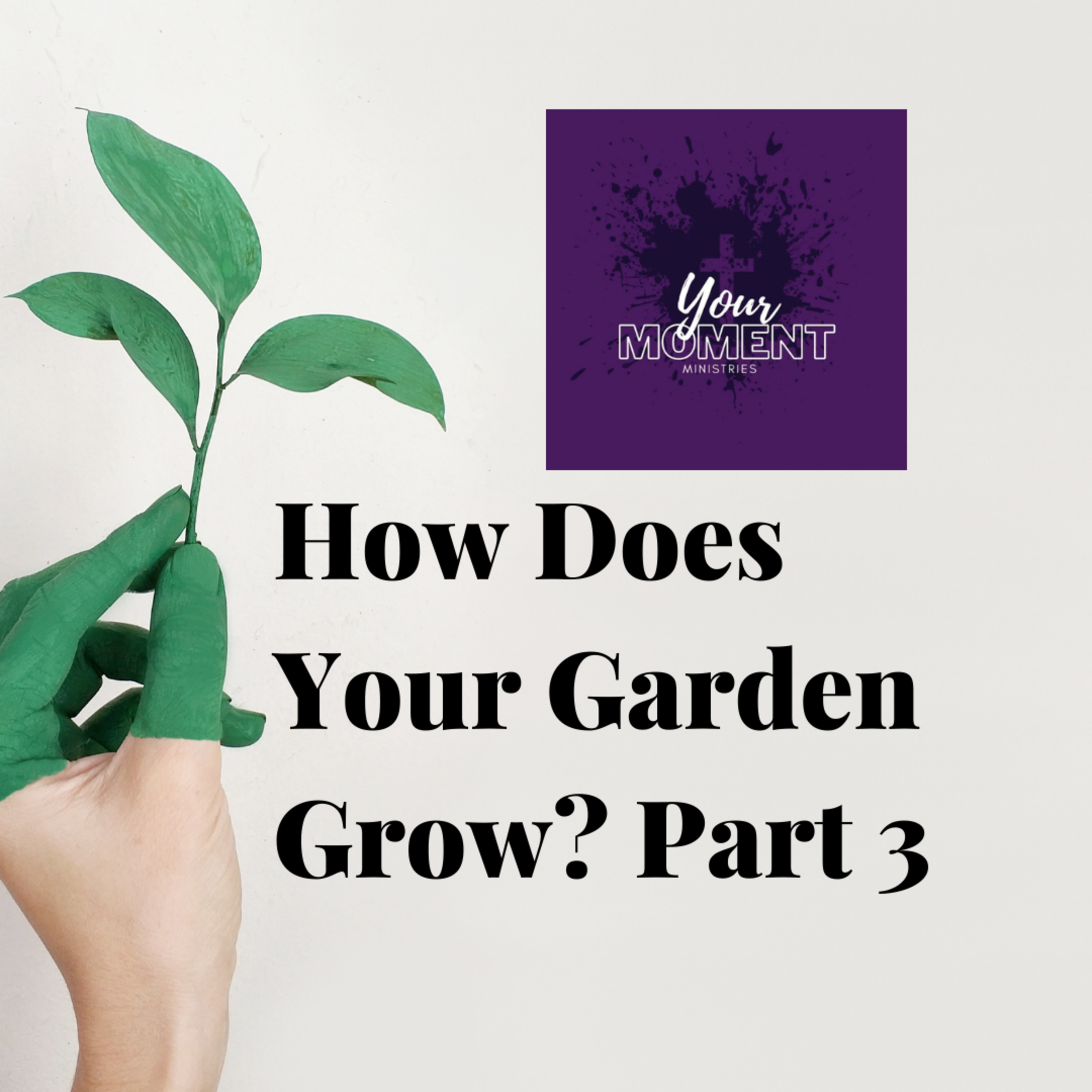 How Does Your Garden Grow? Part 3 episode artwork