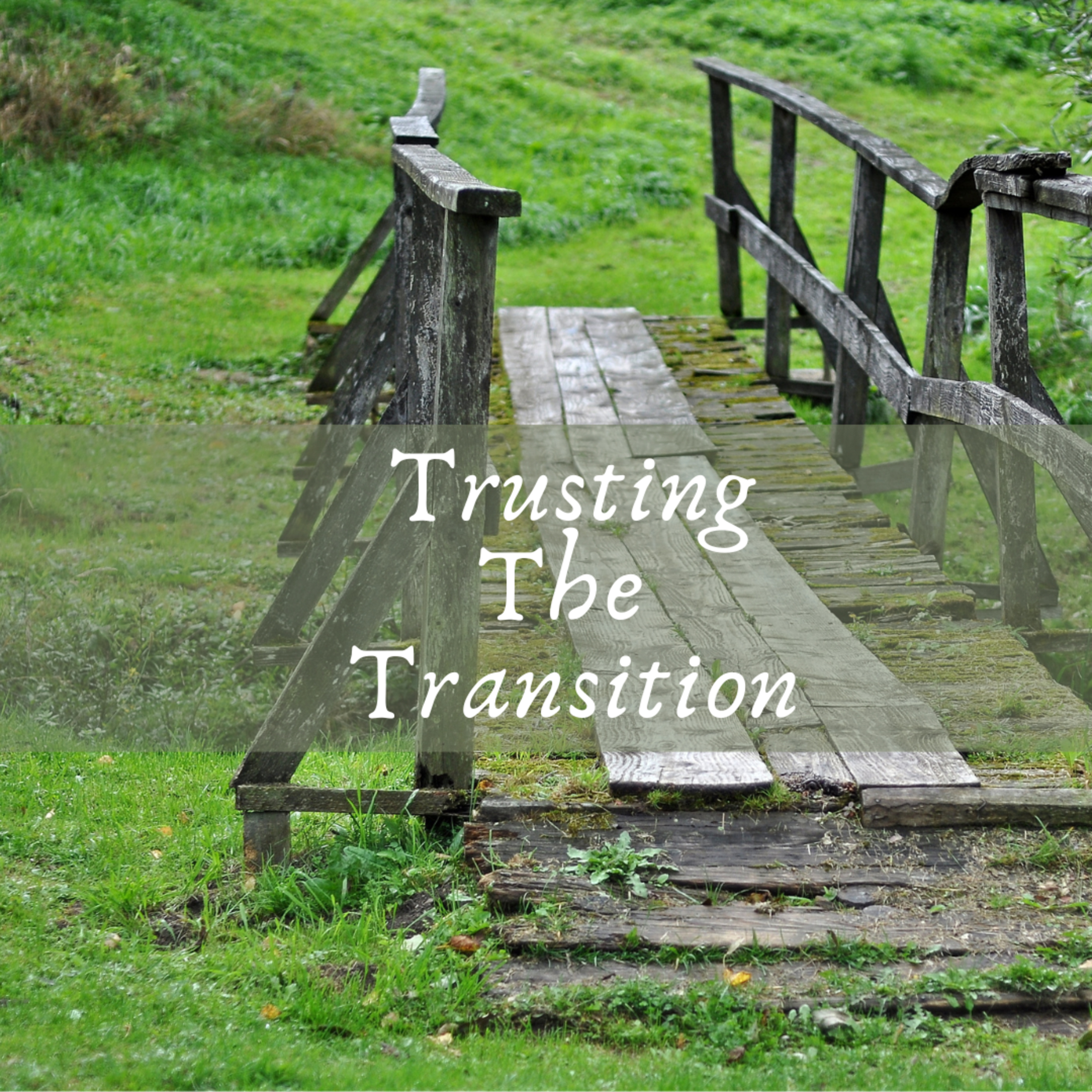 Trusting The Transition episode artwork
