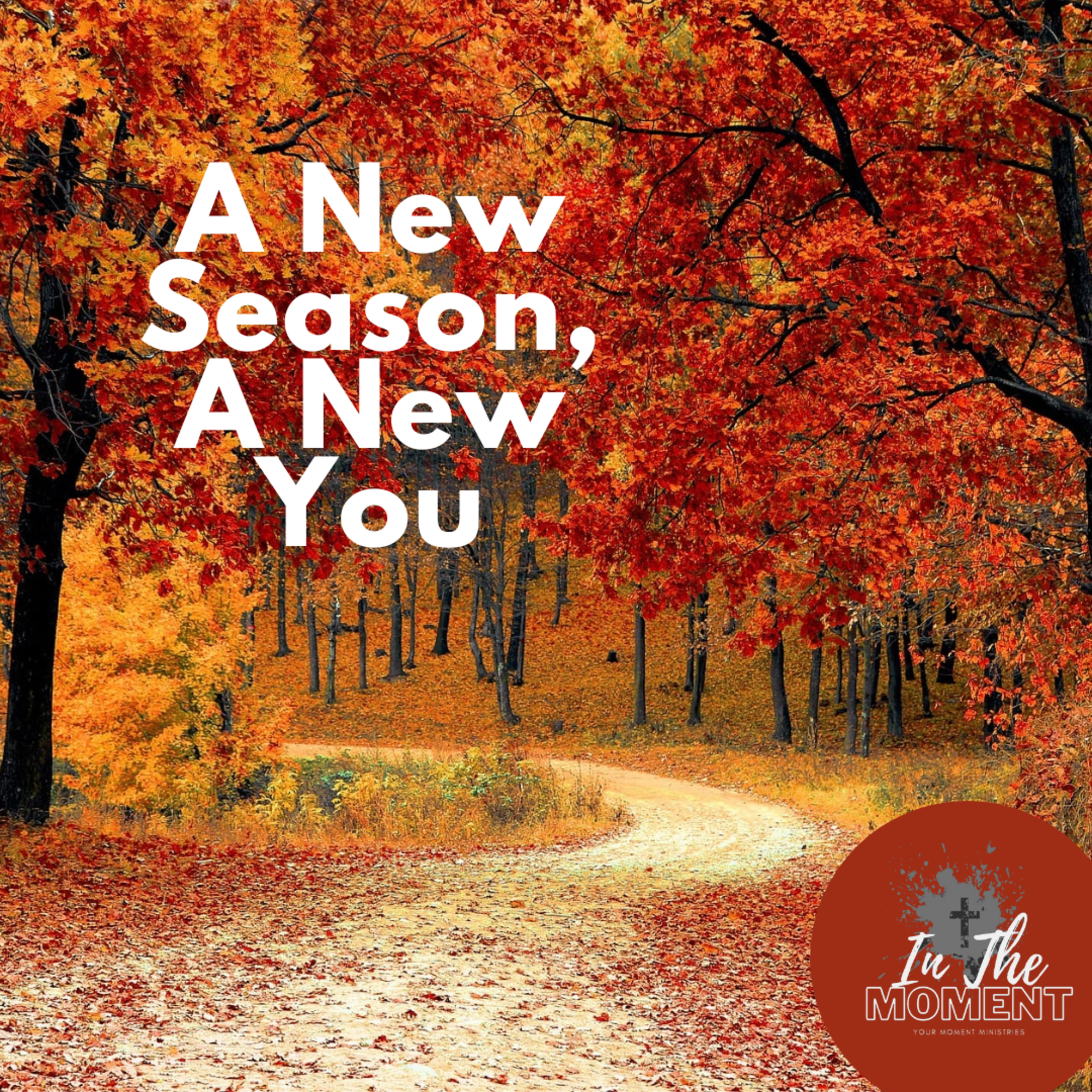 A New Season, A New You episode artwork
