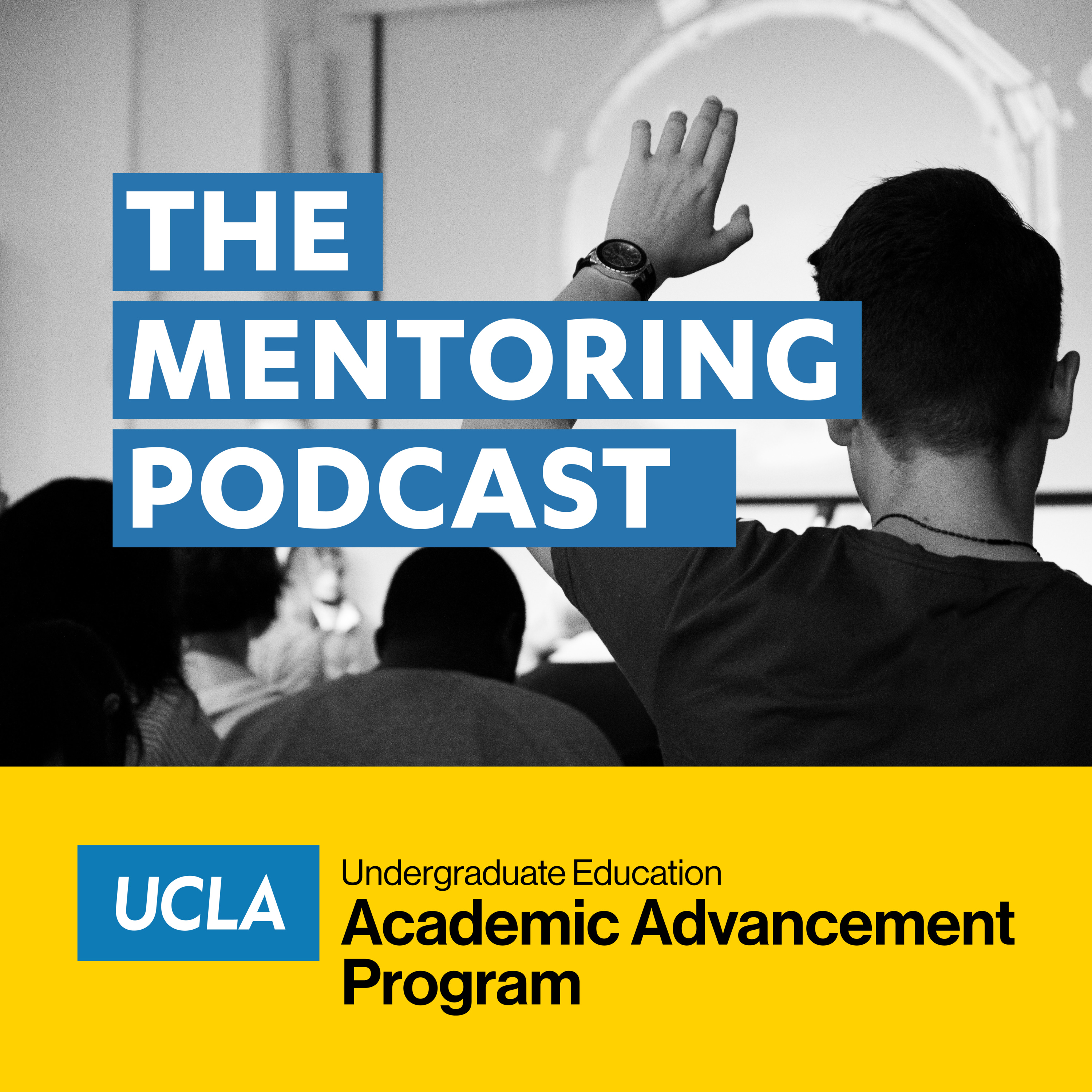 The Mentoring Podcast