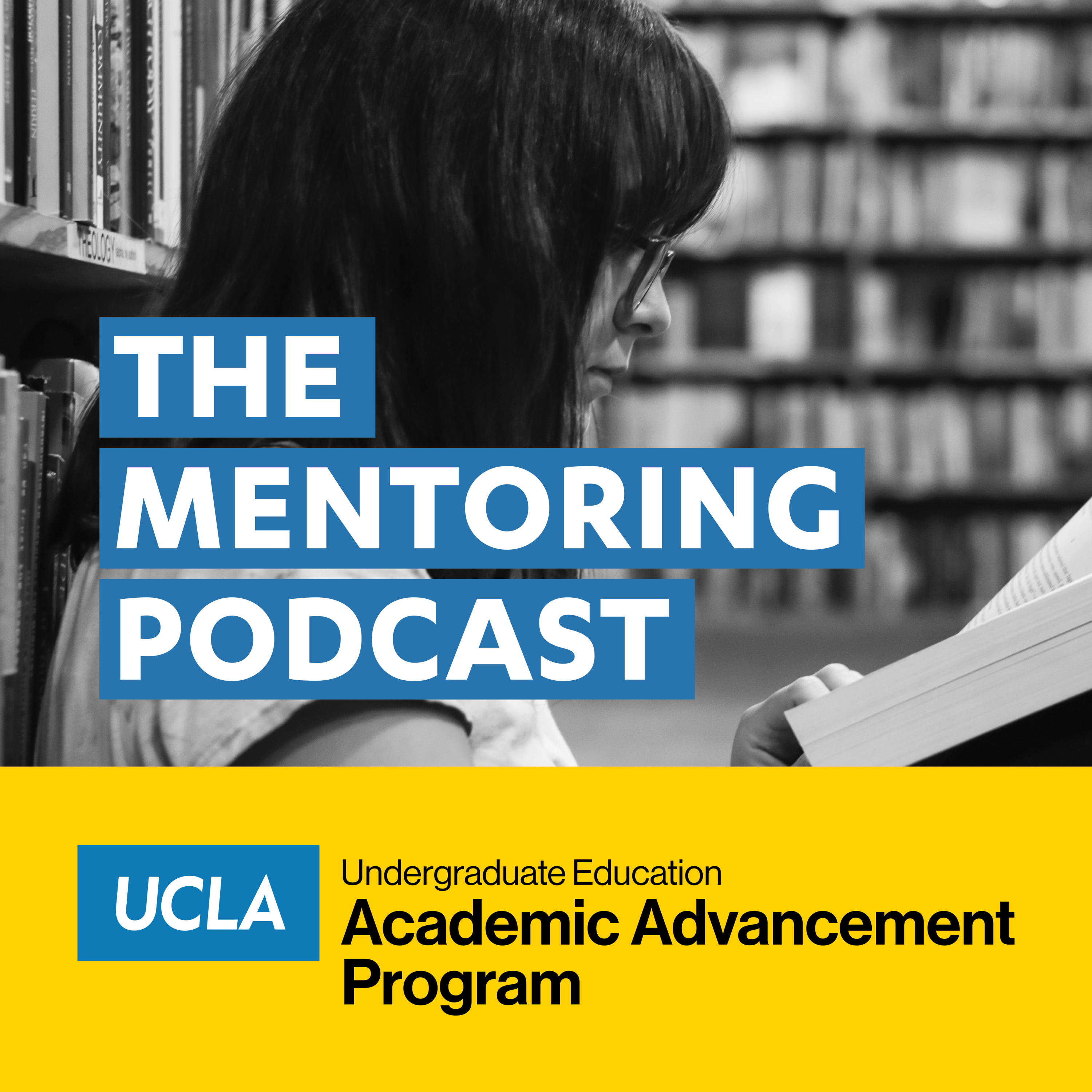 The Mentoring Podcast
