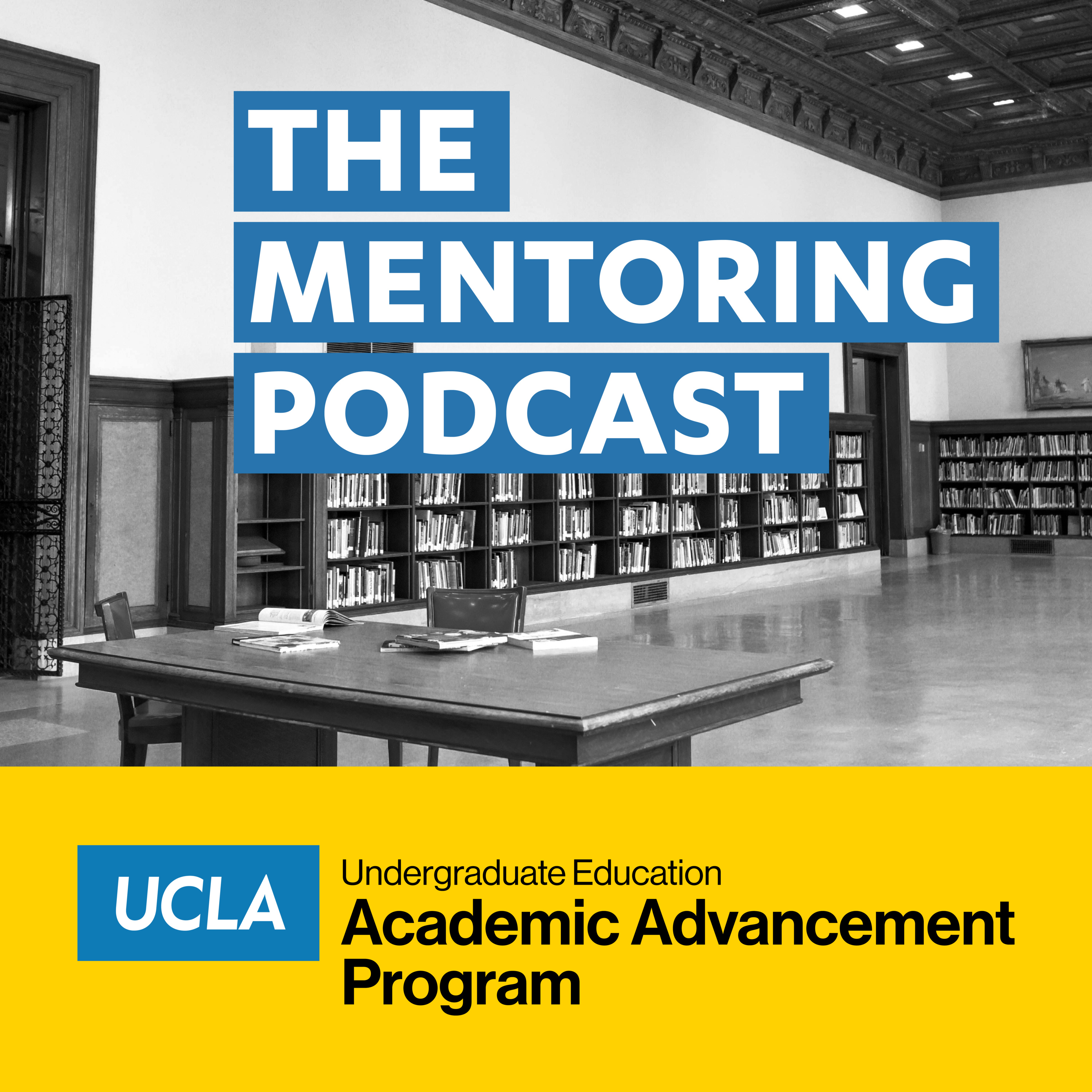 The Mentoring Podcast