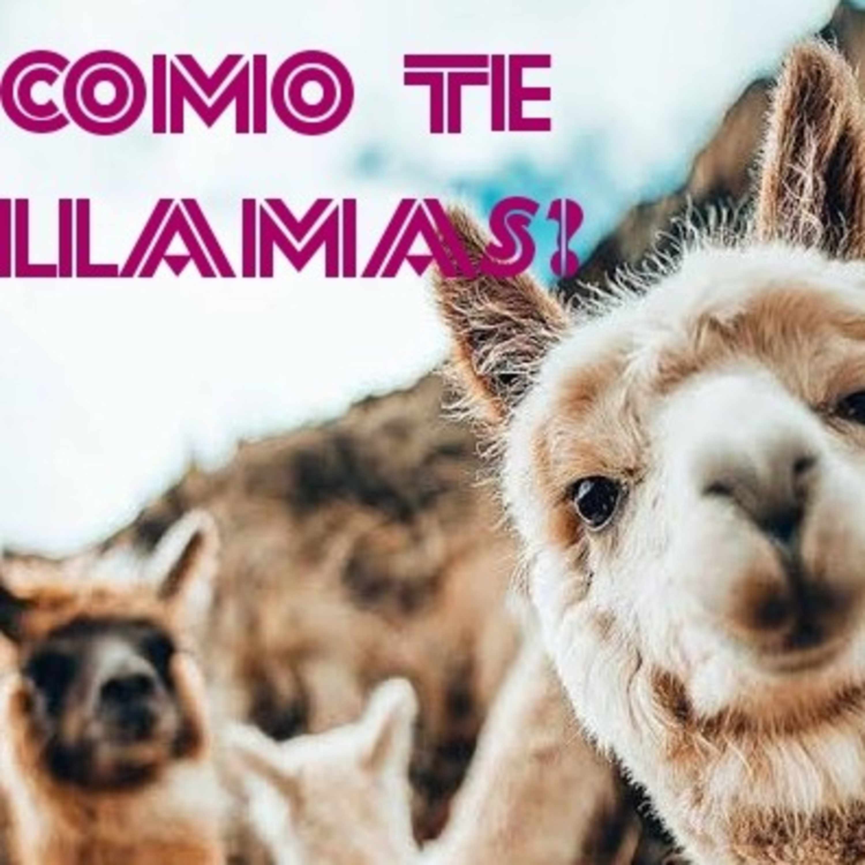 Como te Llamas? episode artwork