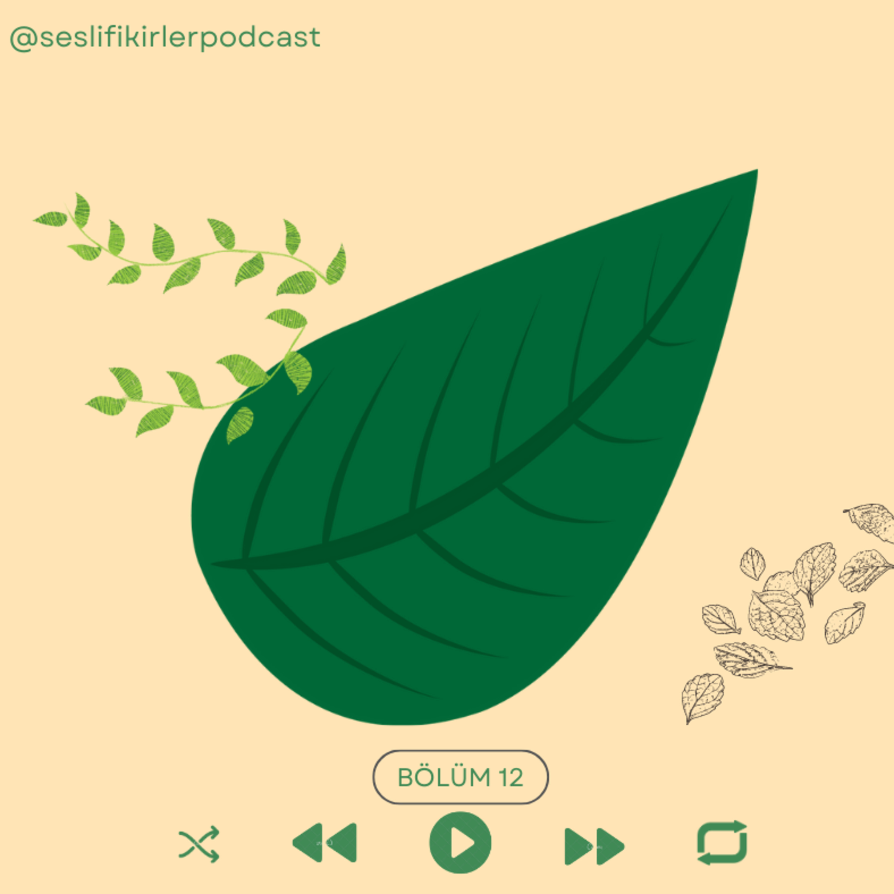 Sesli Fikirler Podcast
