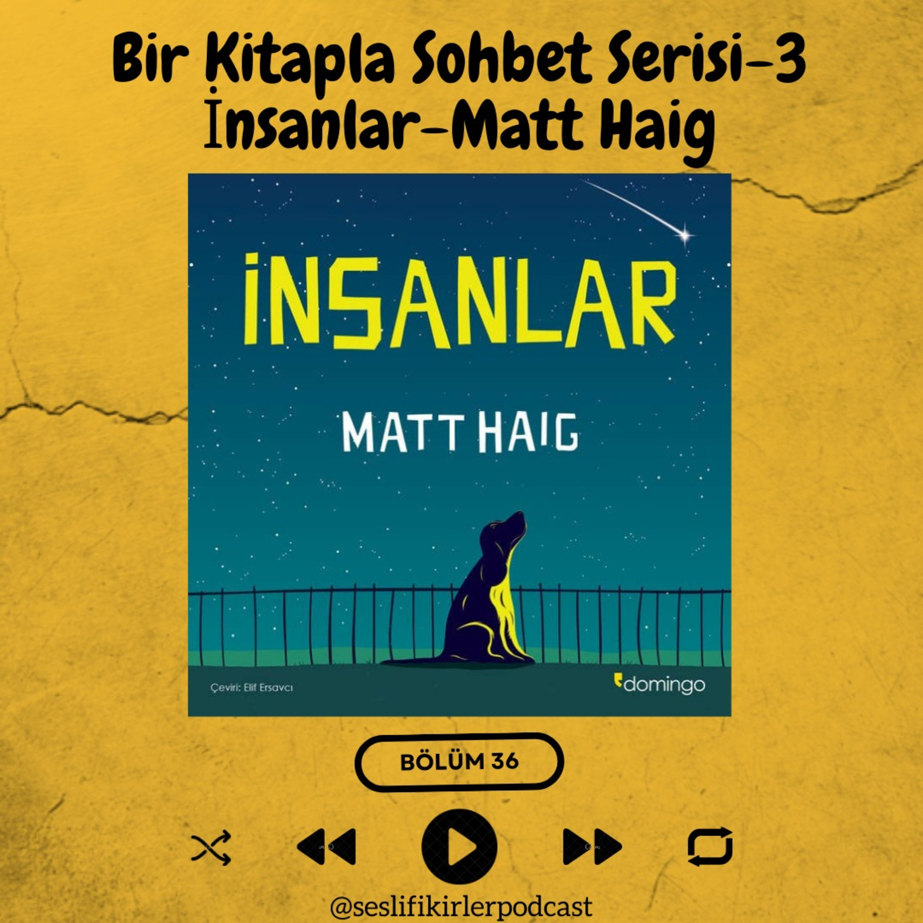 Sesli Fikirler Podcast