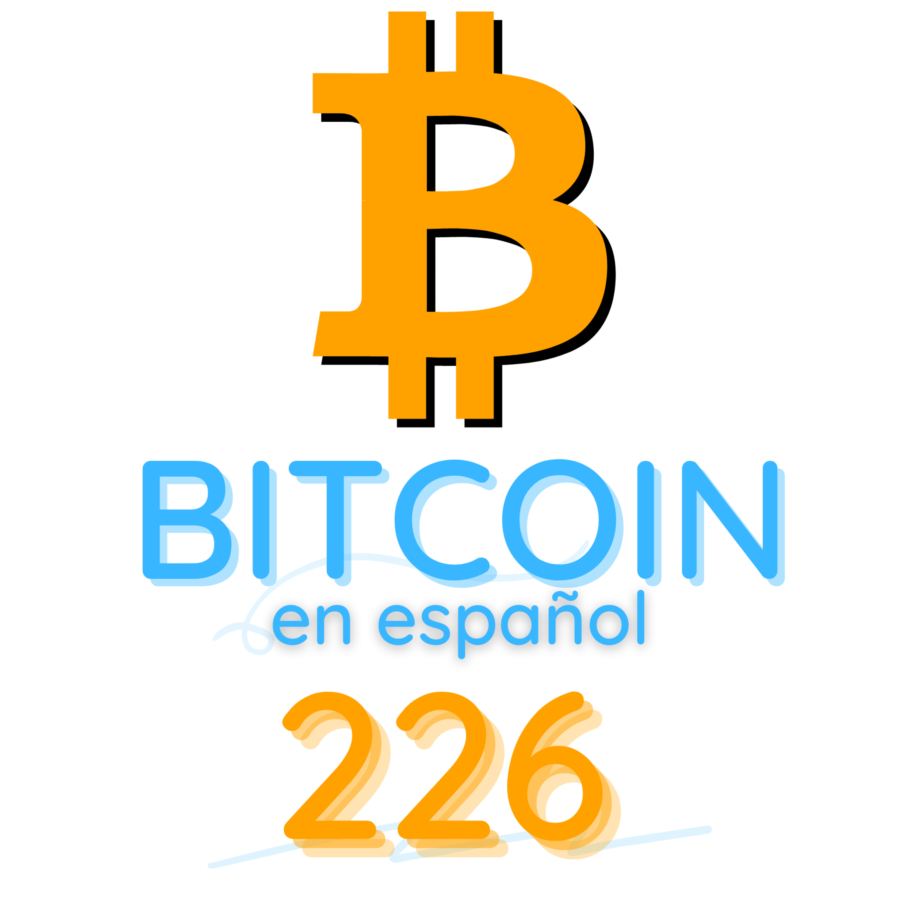 226 Tus bitcoins no están seguros