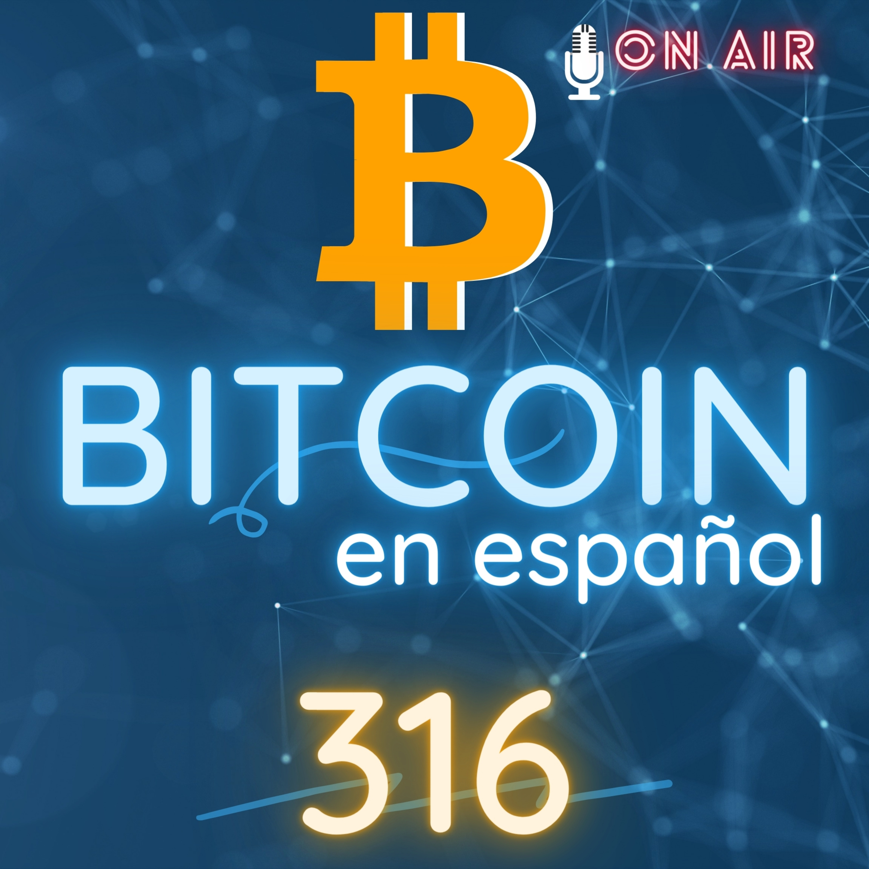 316 Bitcoin falla en temas de privacidad