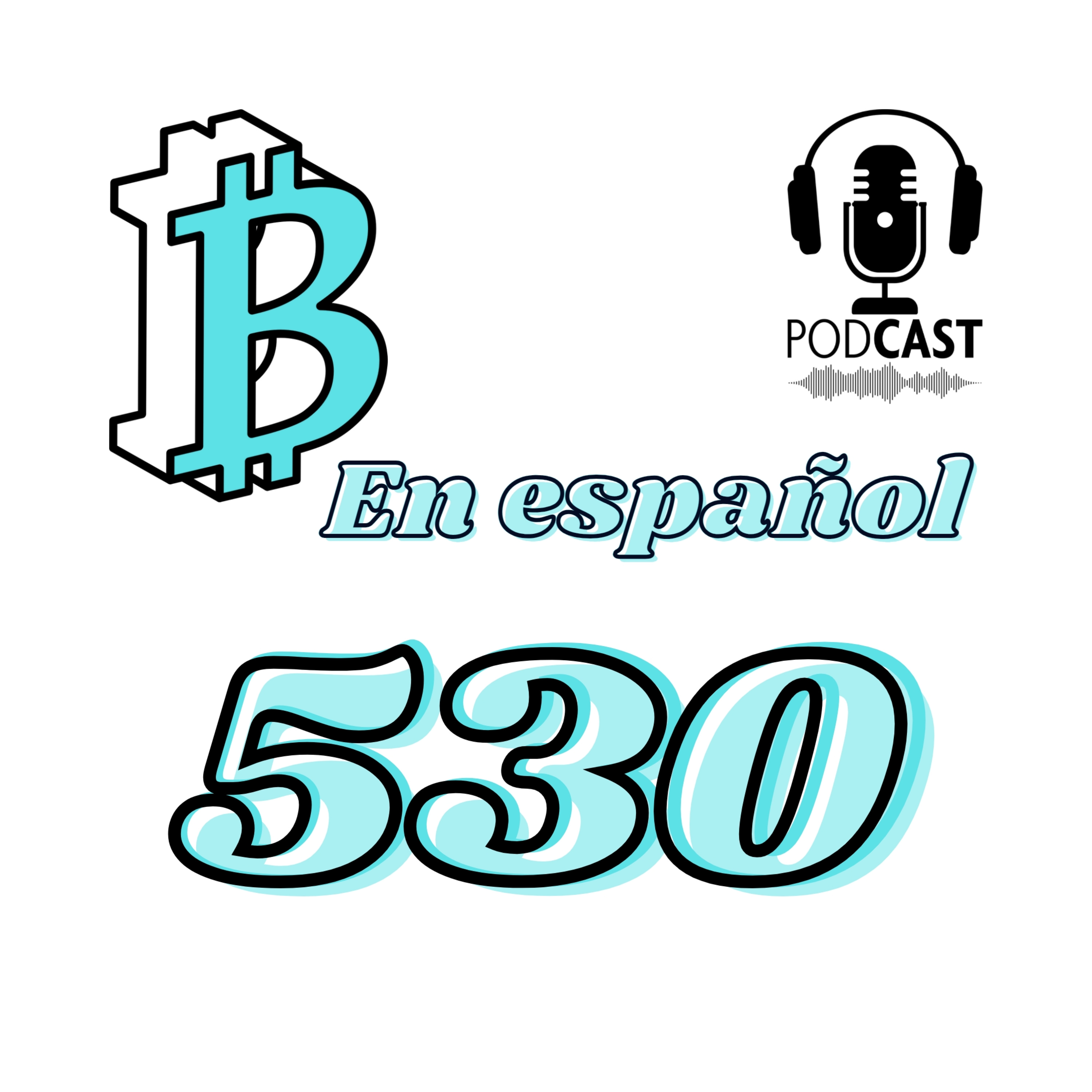 530 Atentado contra TU privacidad