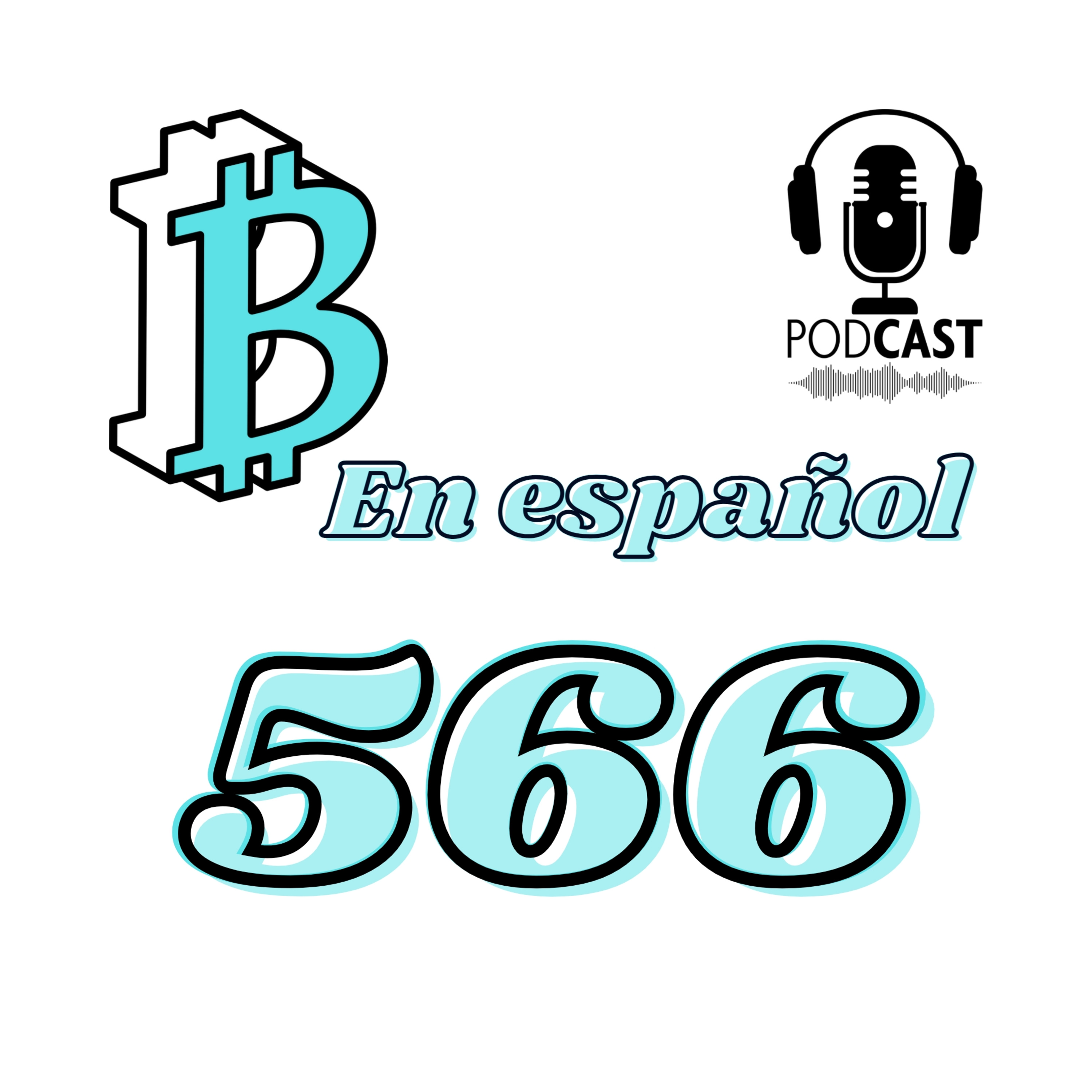 566 BITCOIN puede caer a los 8,000 dolares?