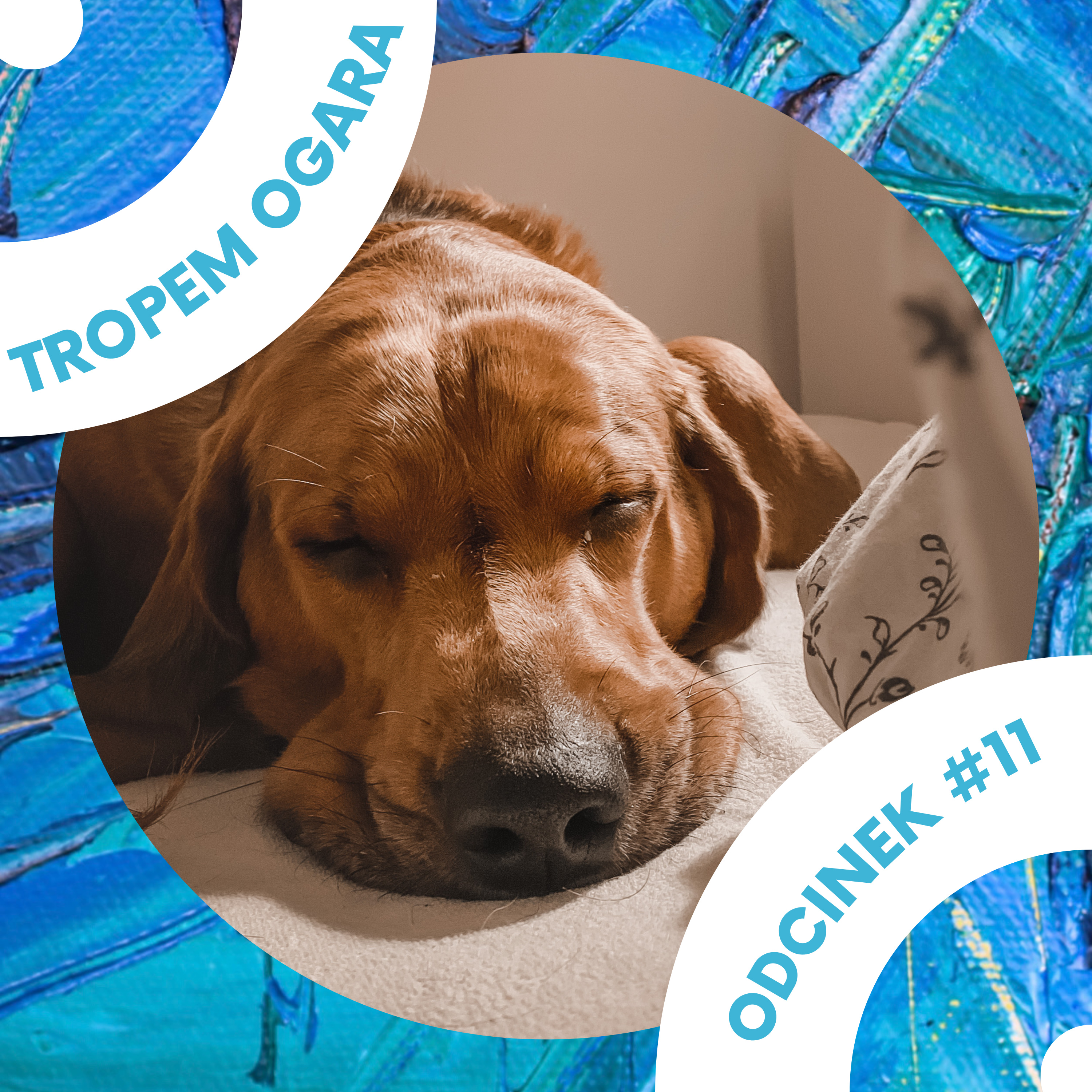 Tropem Ogara