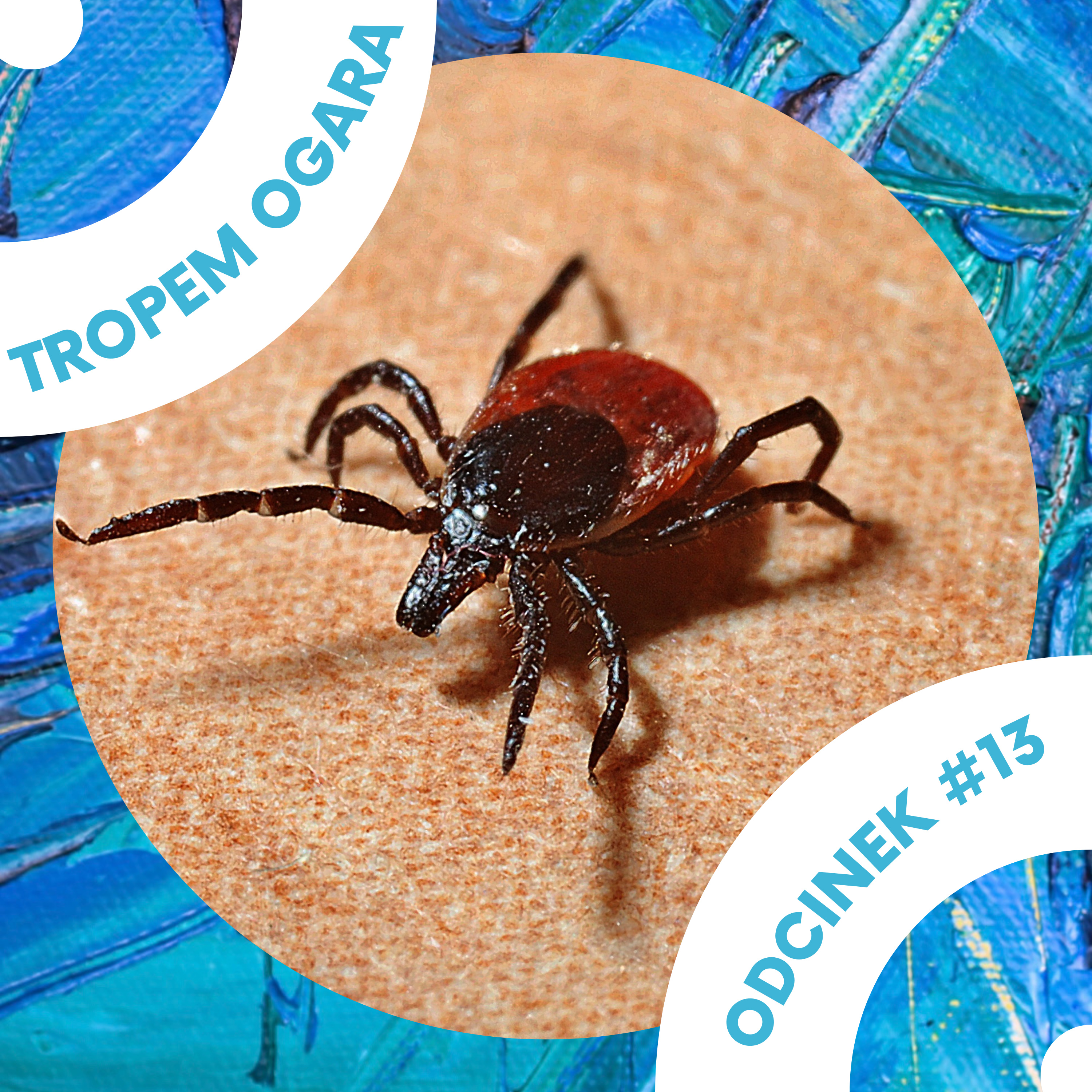 Tropem Ogara