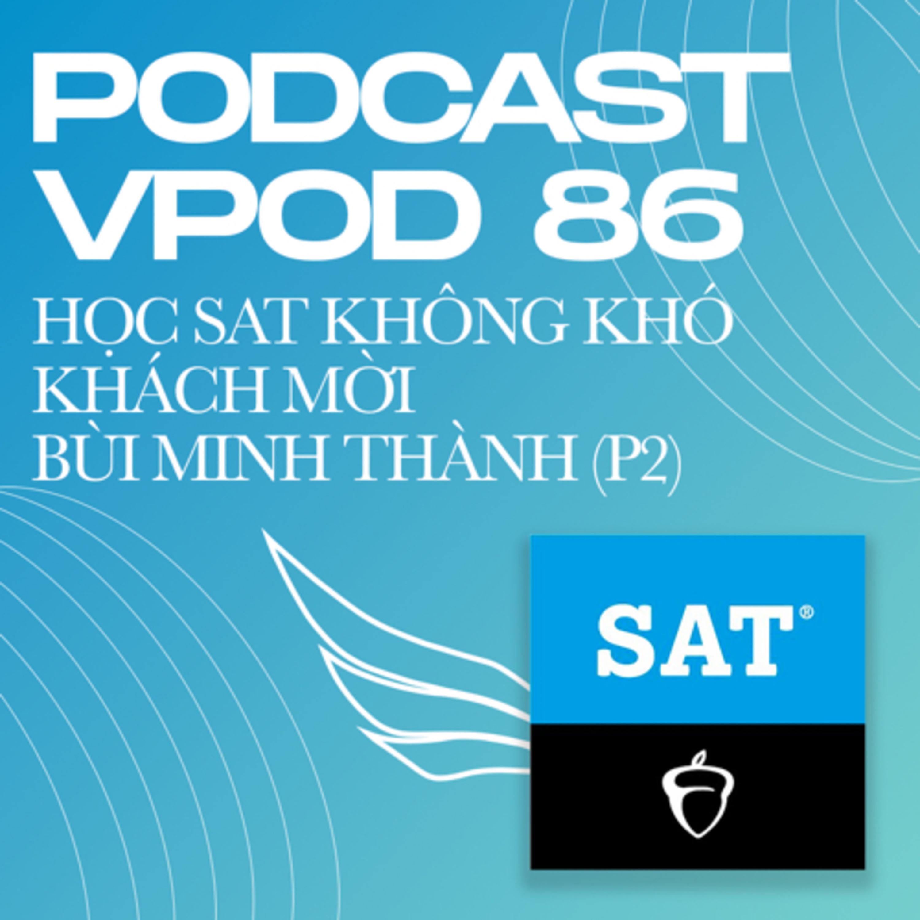 VELA Podcast