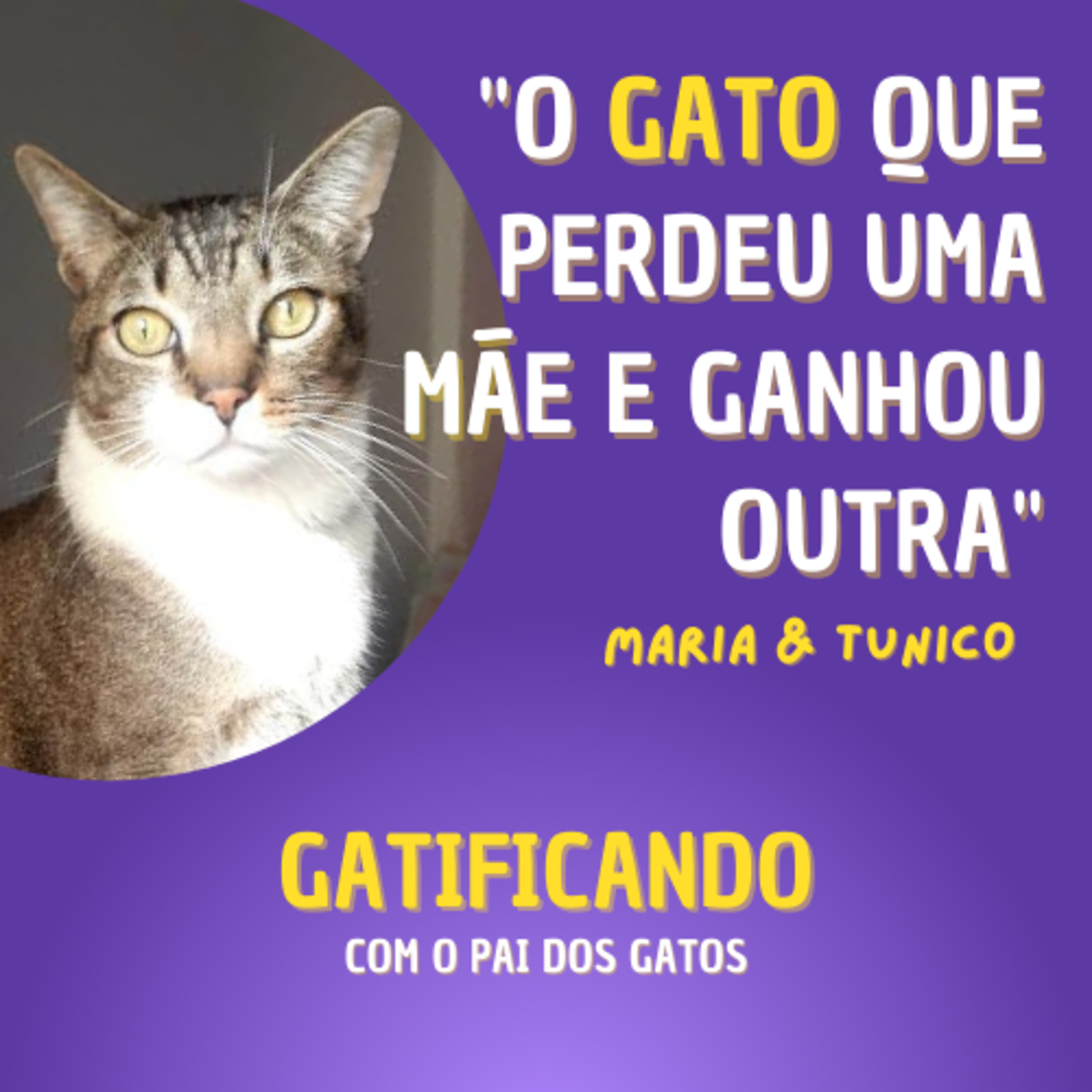 Gatificando