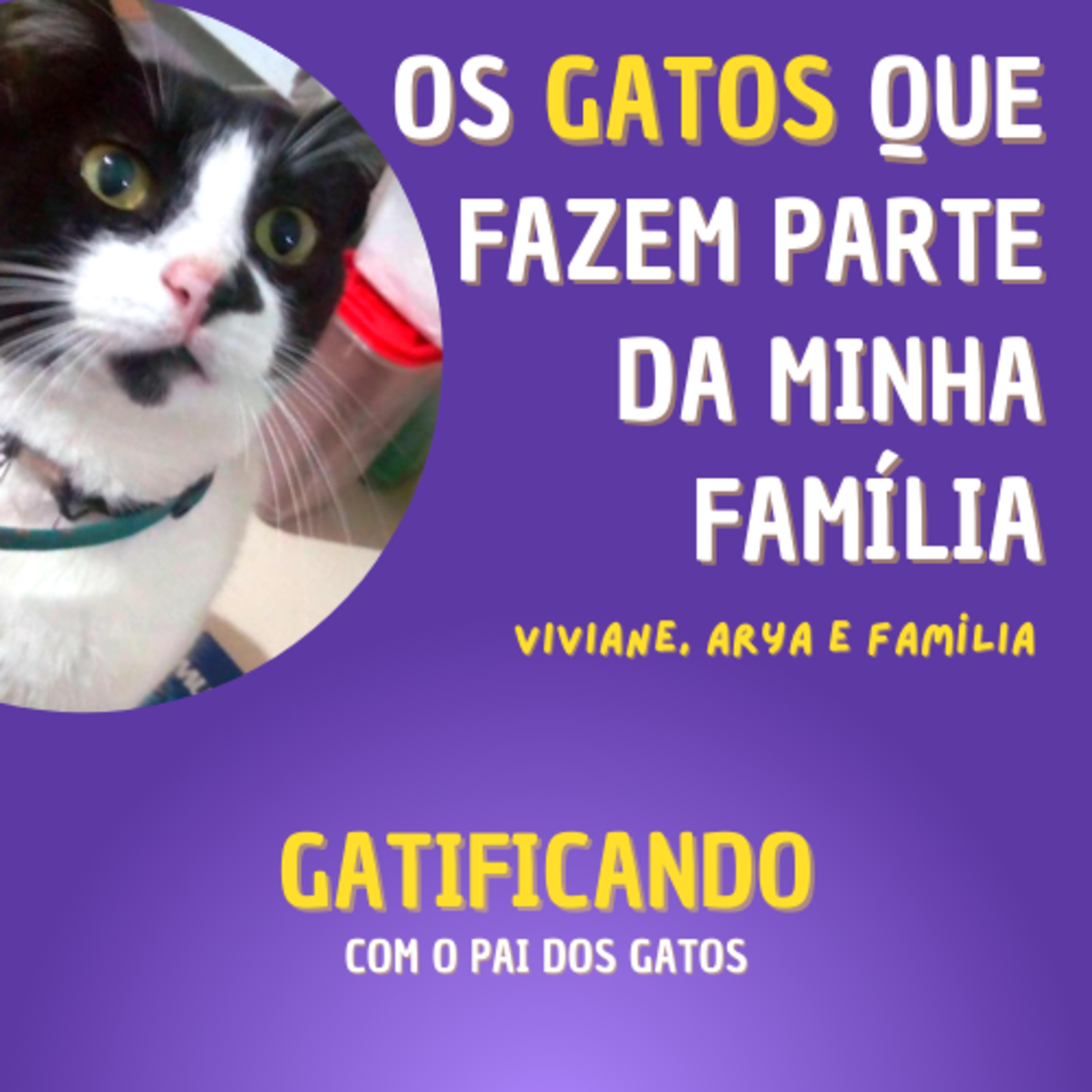 Gatificando