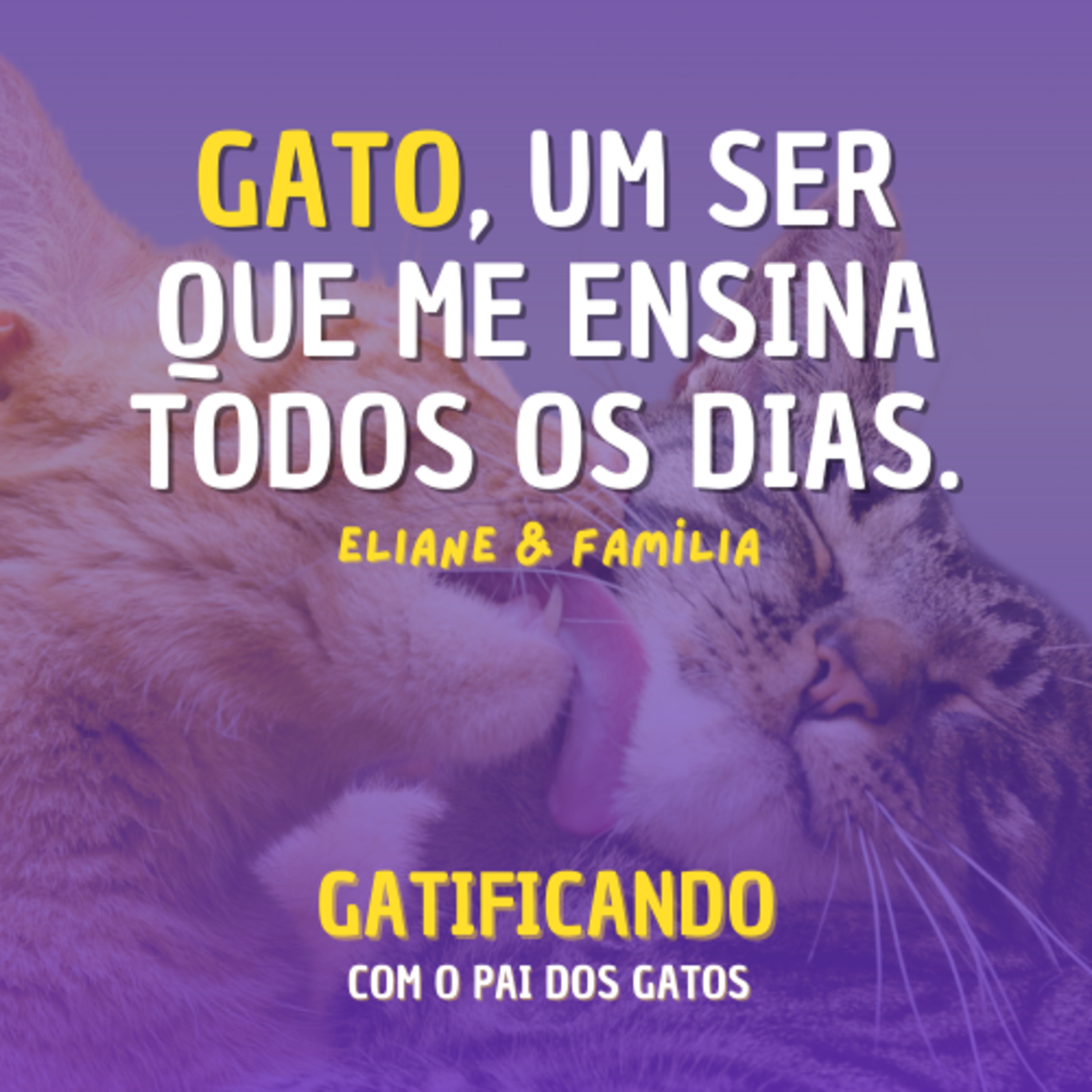 Gatificando