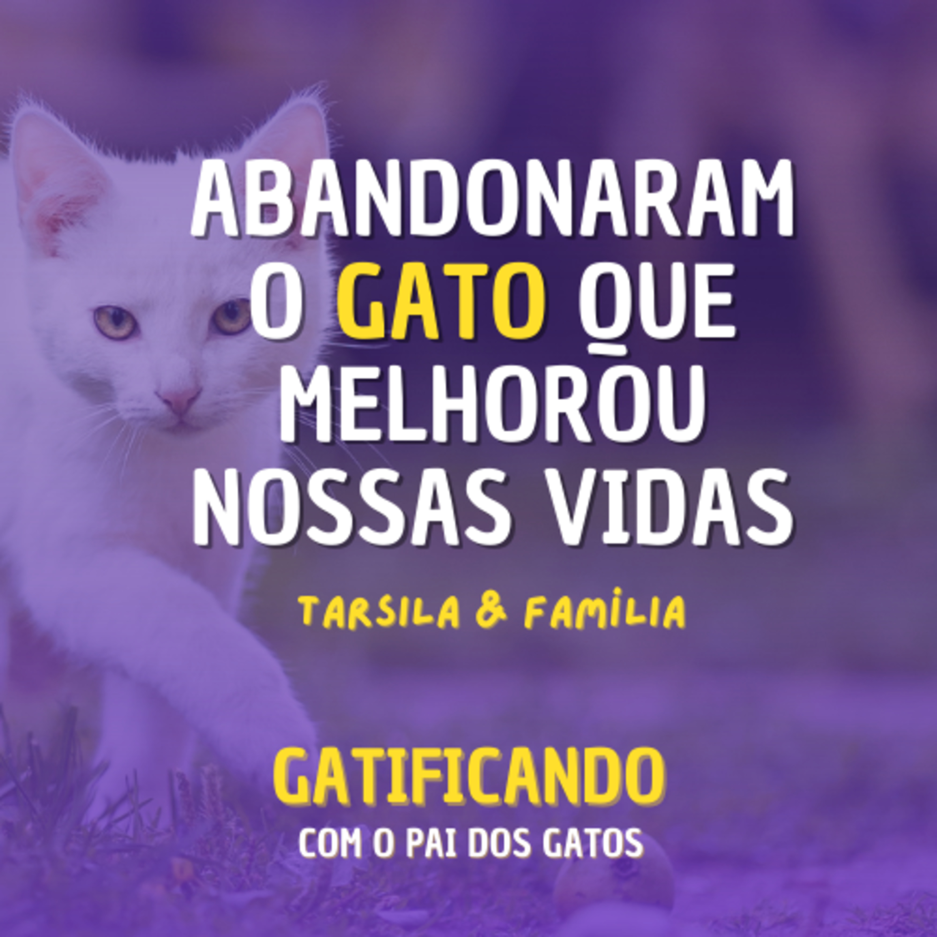 Gatificando