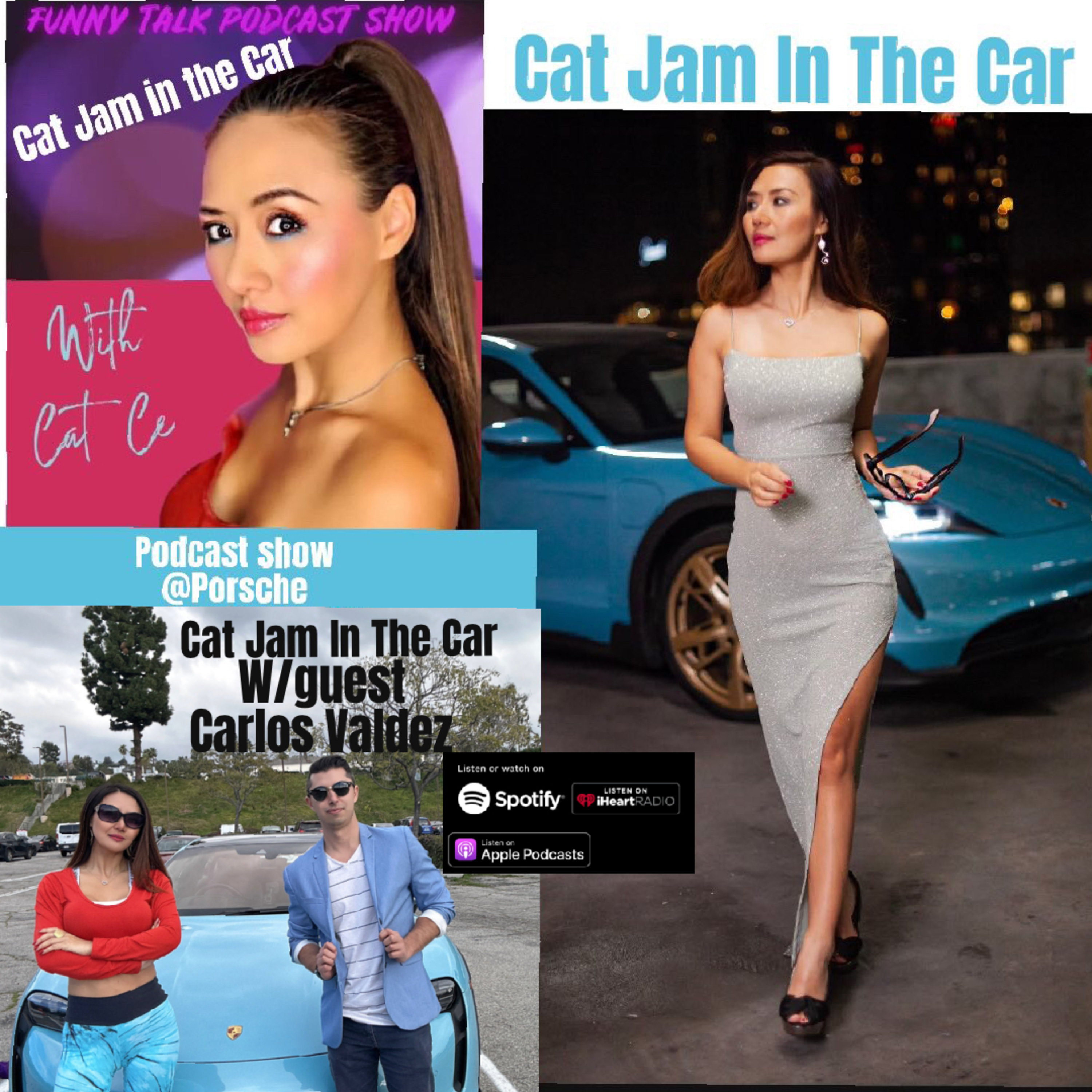 Cat Jam In The Car