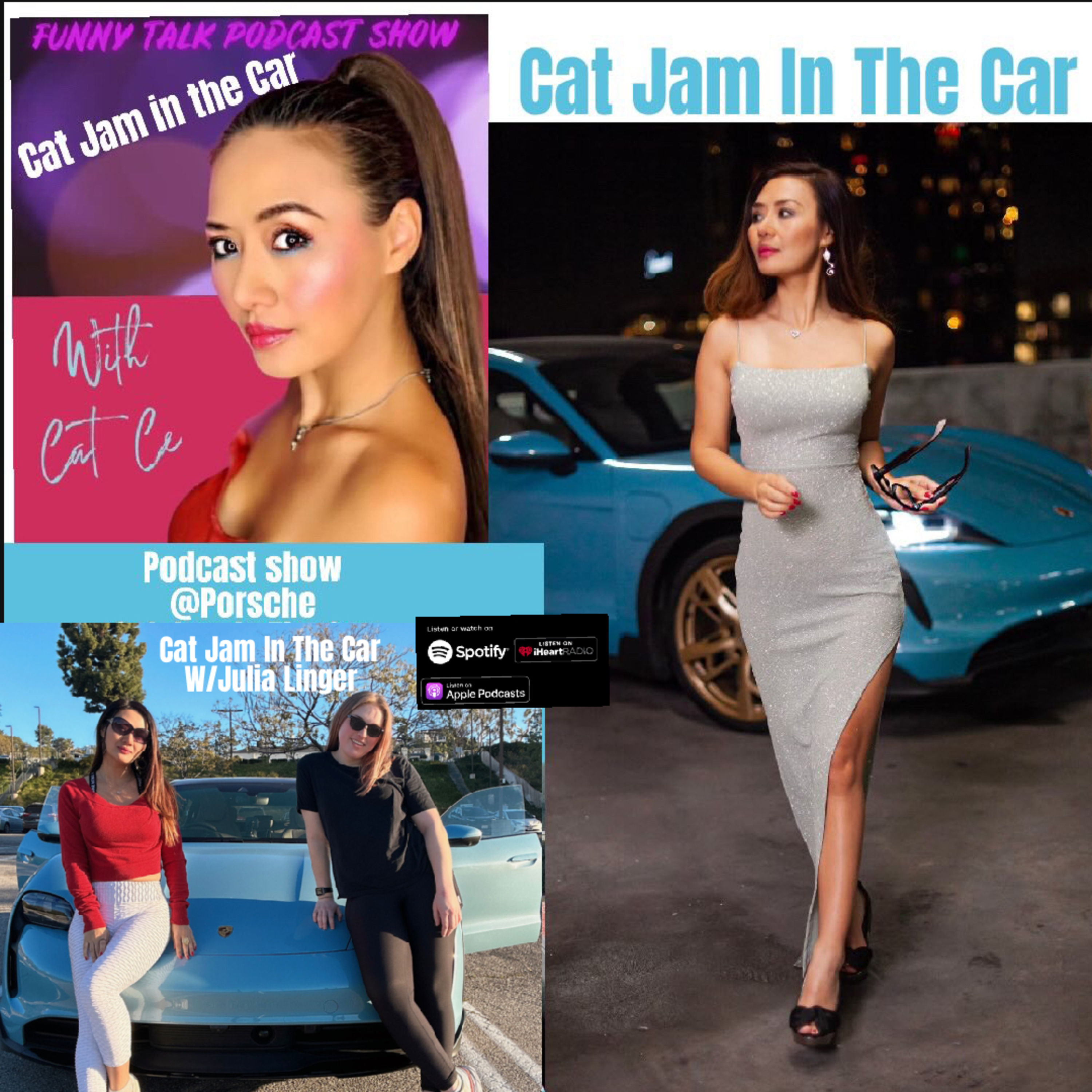 Ep.24 Cat Jam In The Car w/Comedian Julia Linger episode artwork
