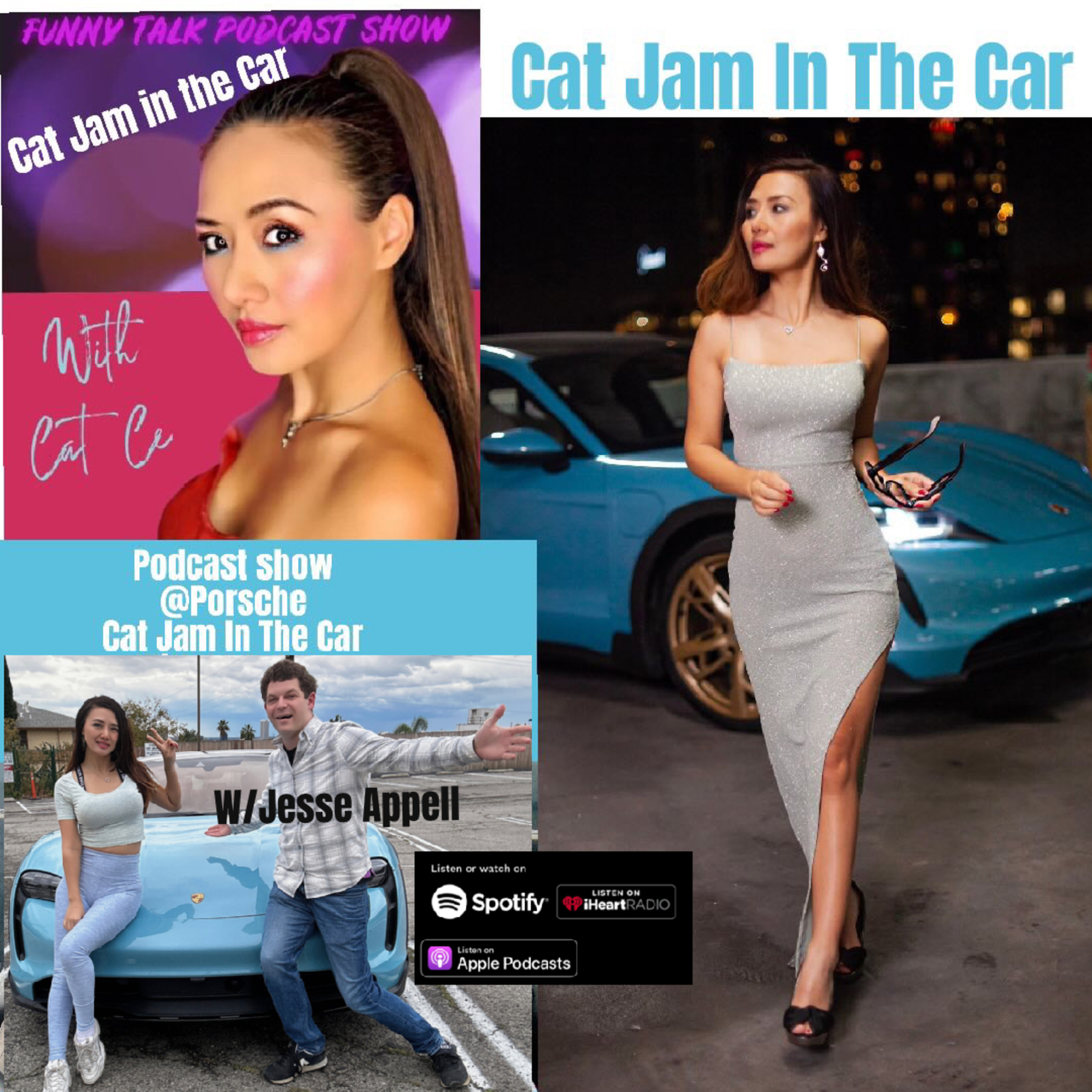 Cat Jam In The Car