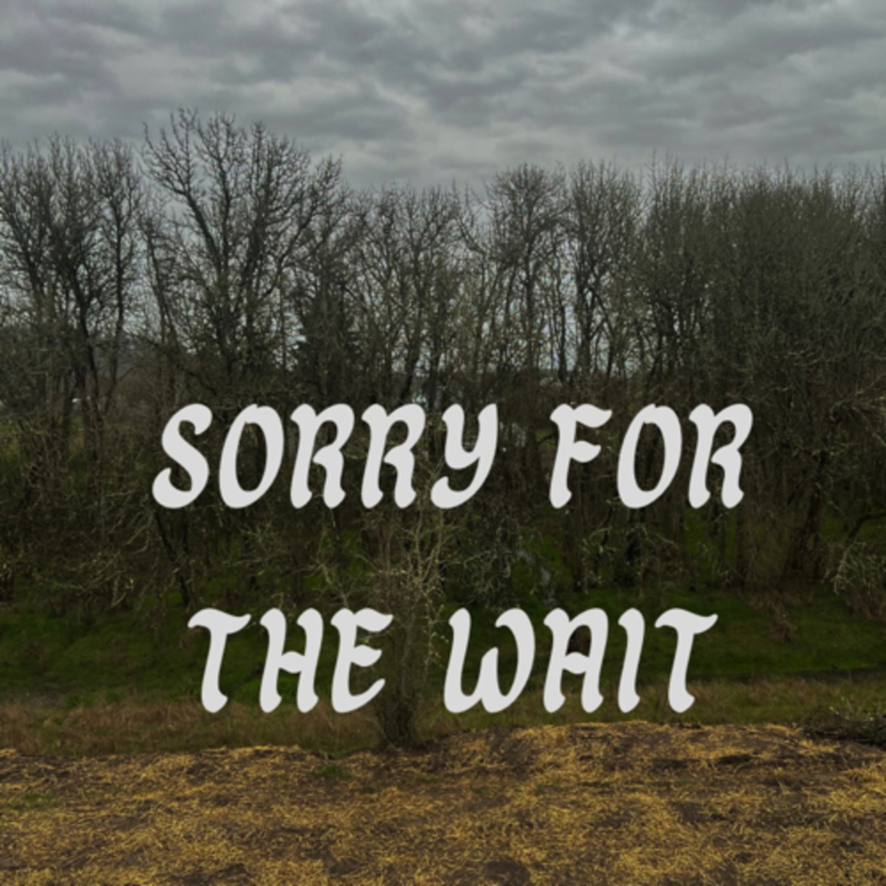 Sorry for the wait  episode artwork