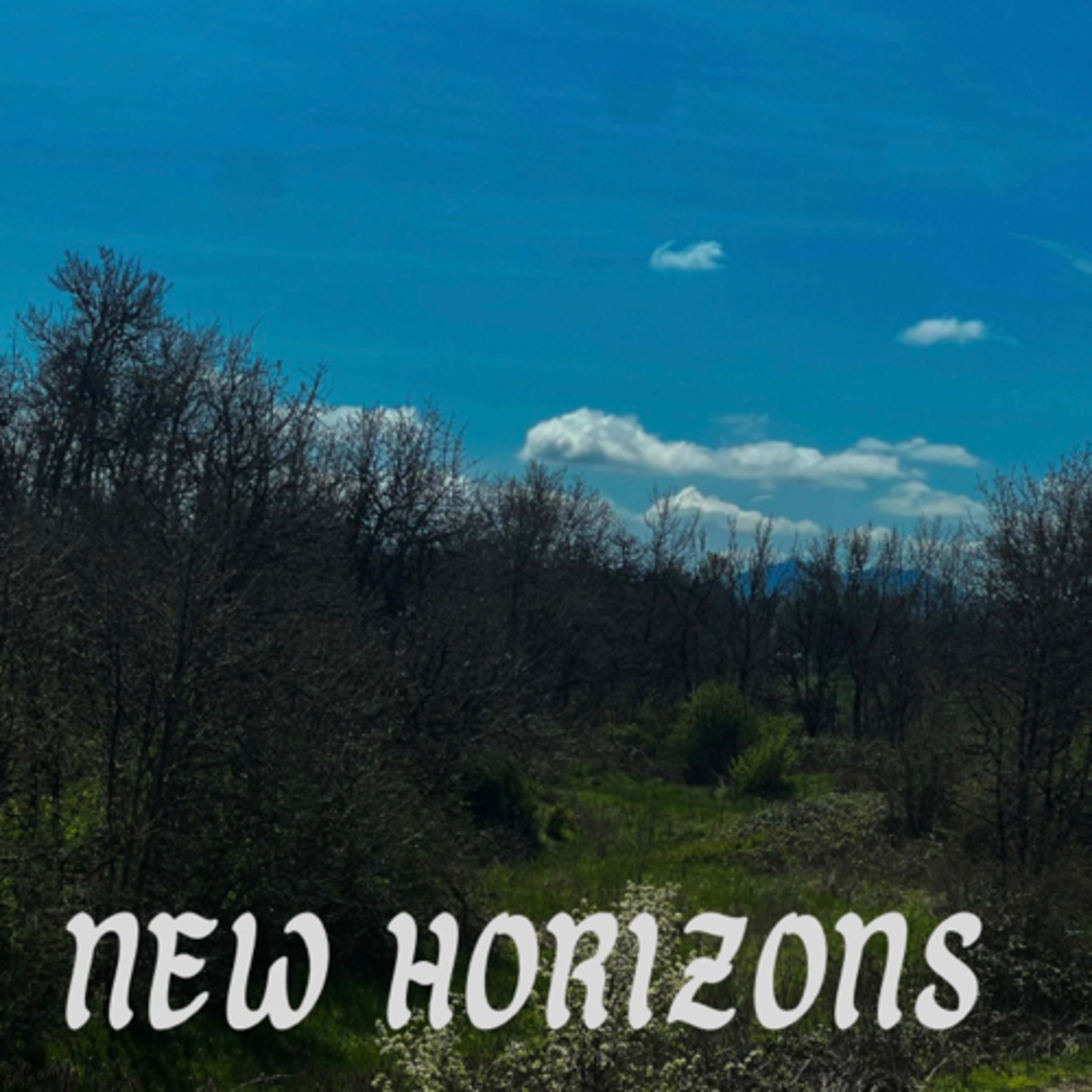 New horizons  episode artwork