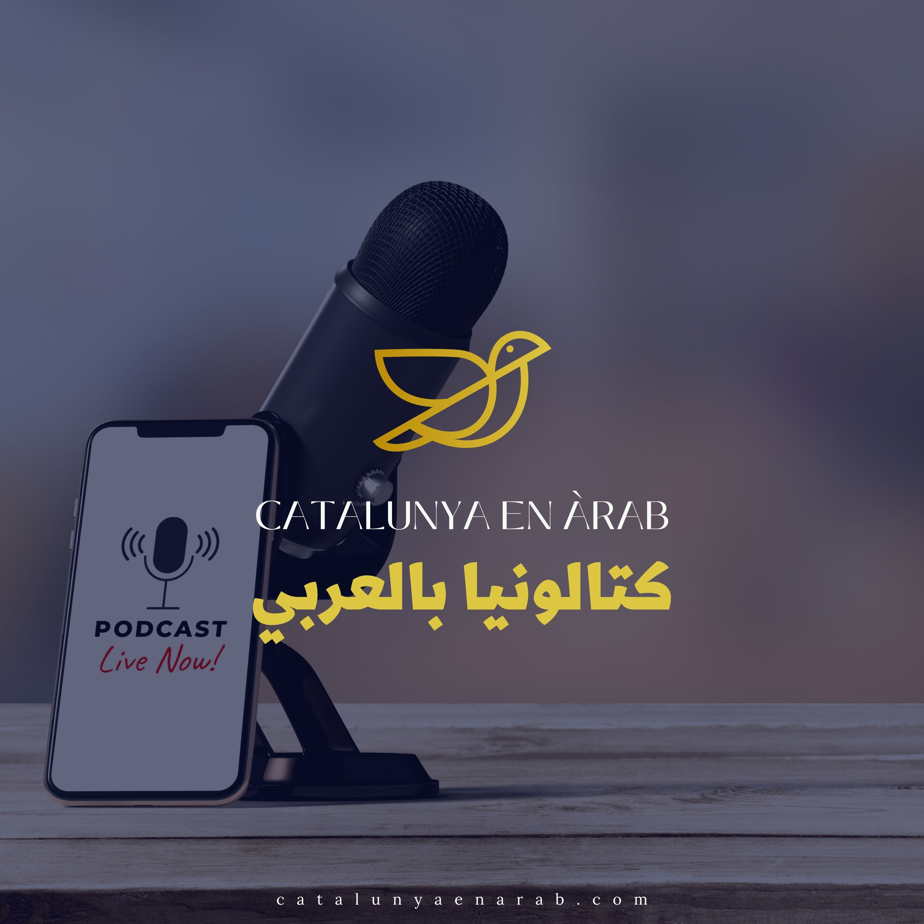 التحديات والفرص وإيجابيات العيش والعمل في كتالونيا وإسبانيا 