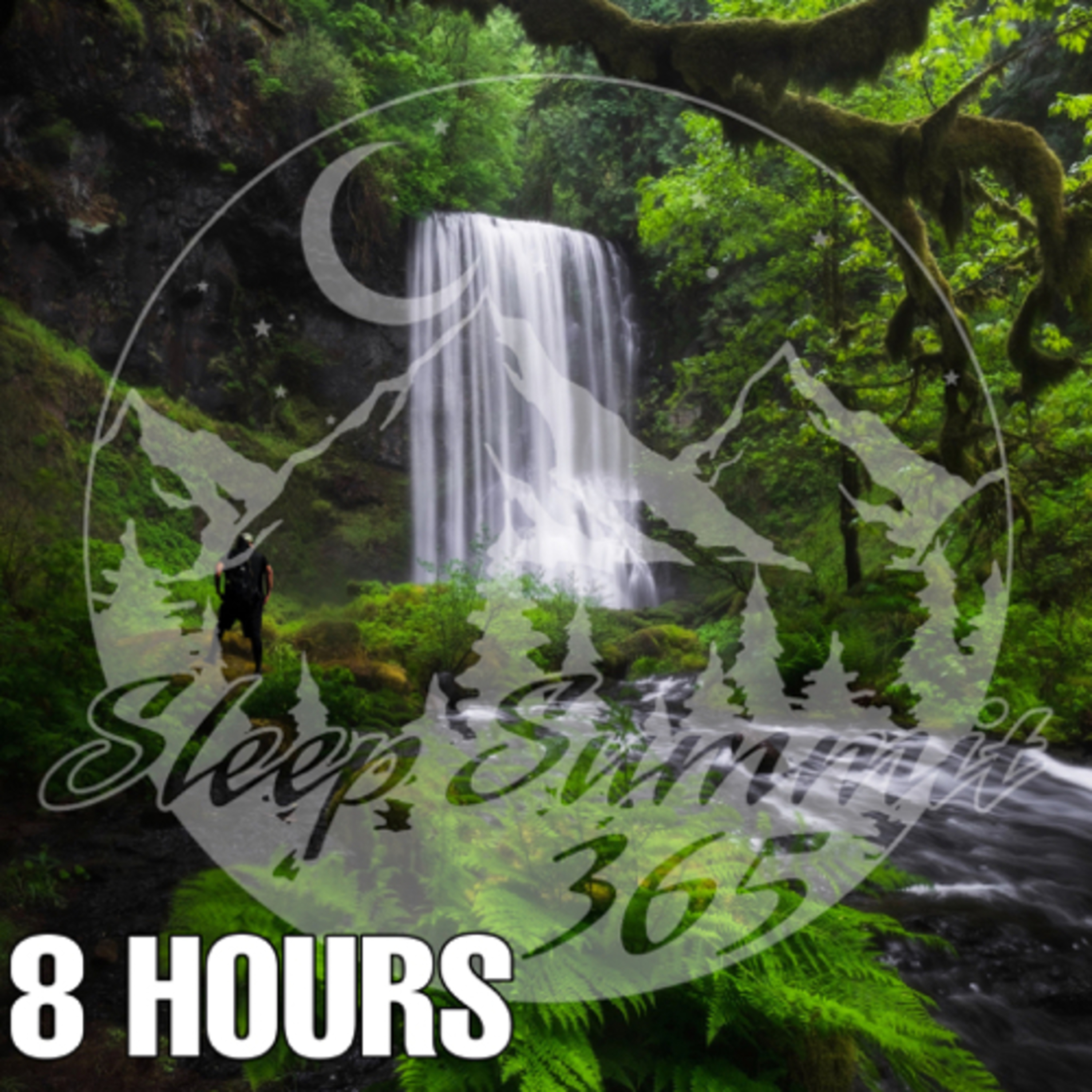 Waterfall Stream in Forest episode artwork