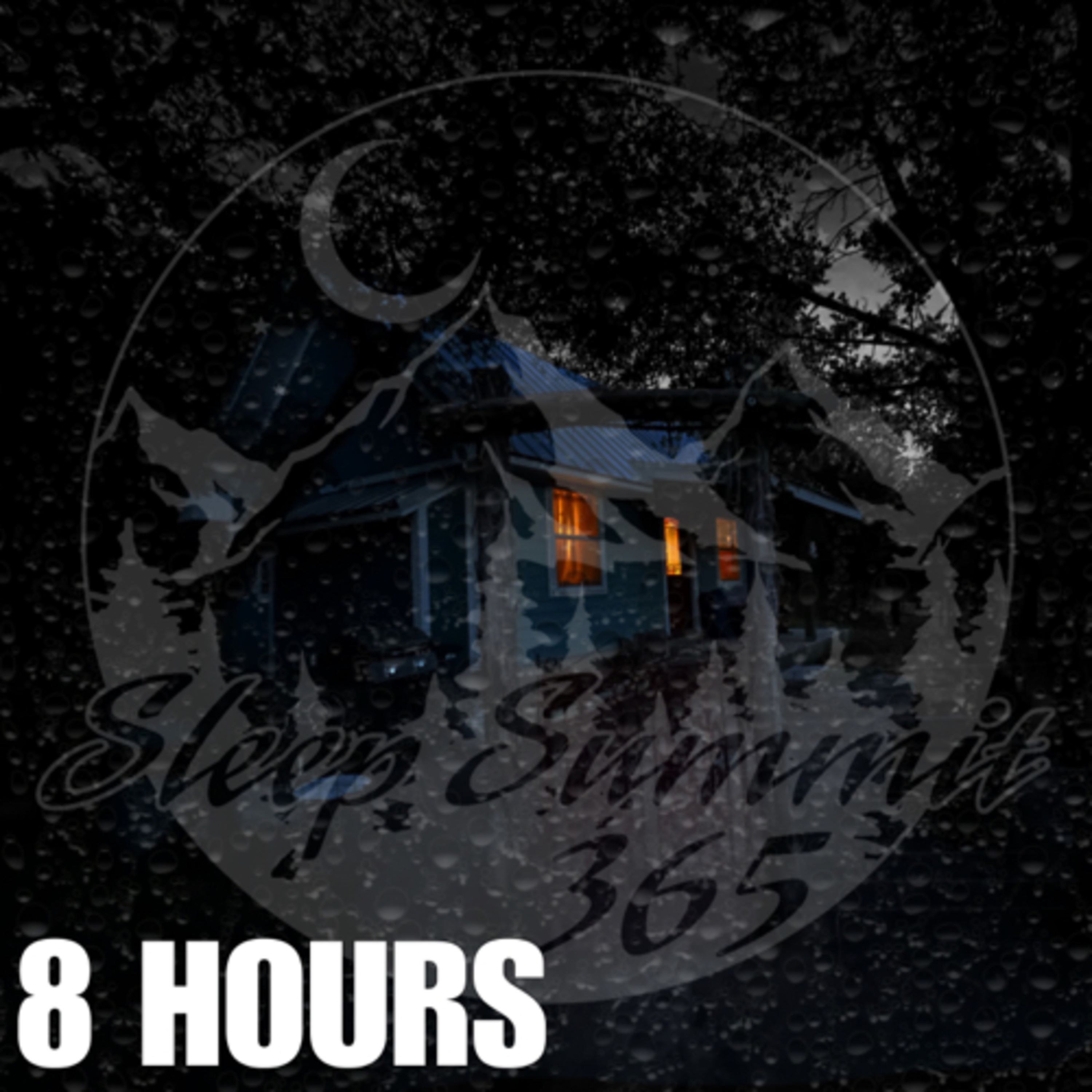 Sleep Summit 3 65 podcast cover