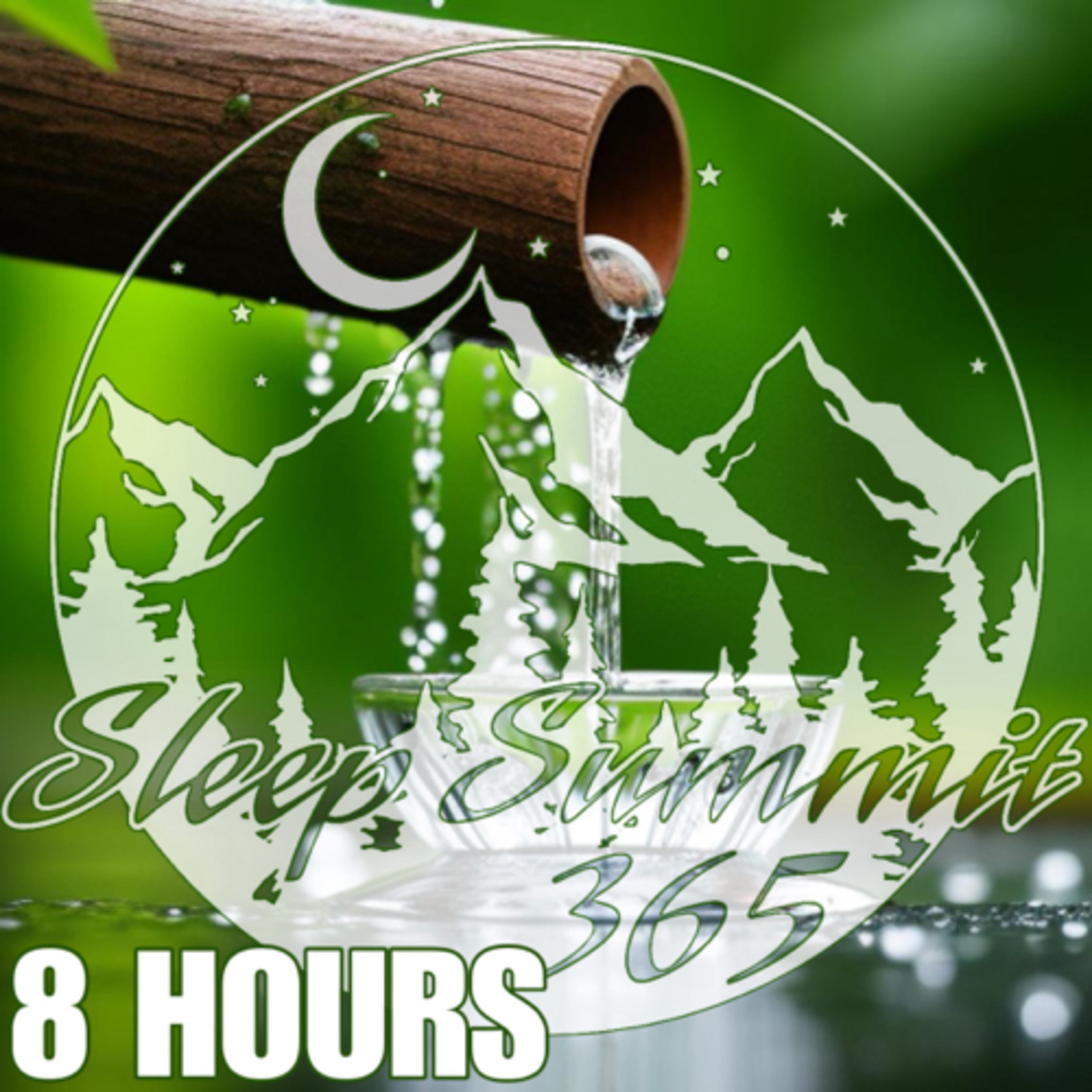 Sleep Summit 3 65 podcast cover