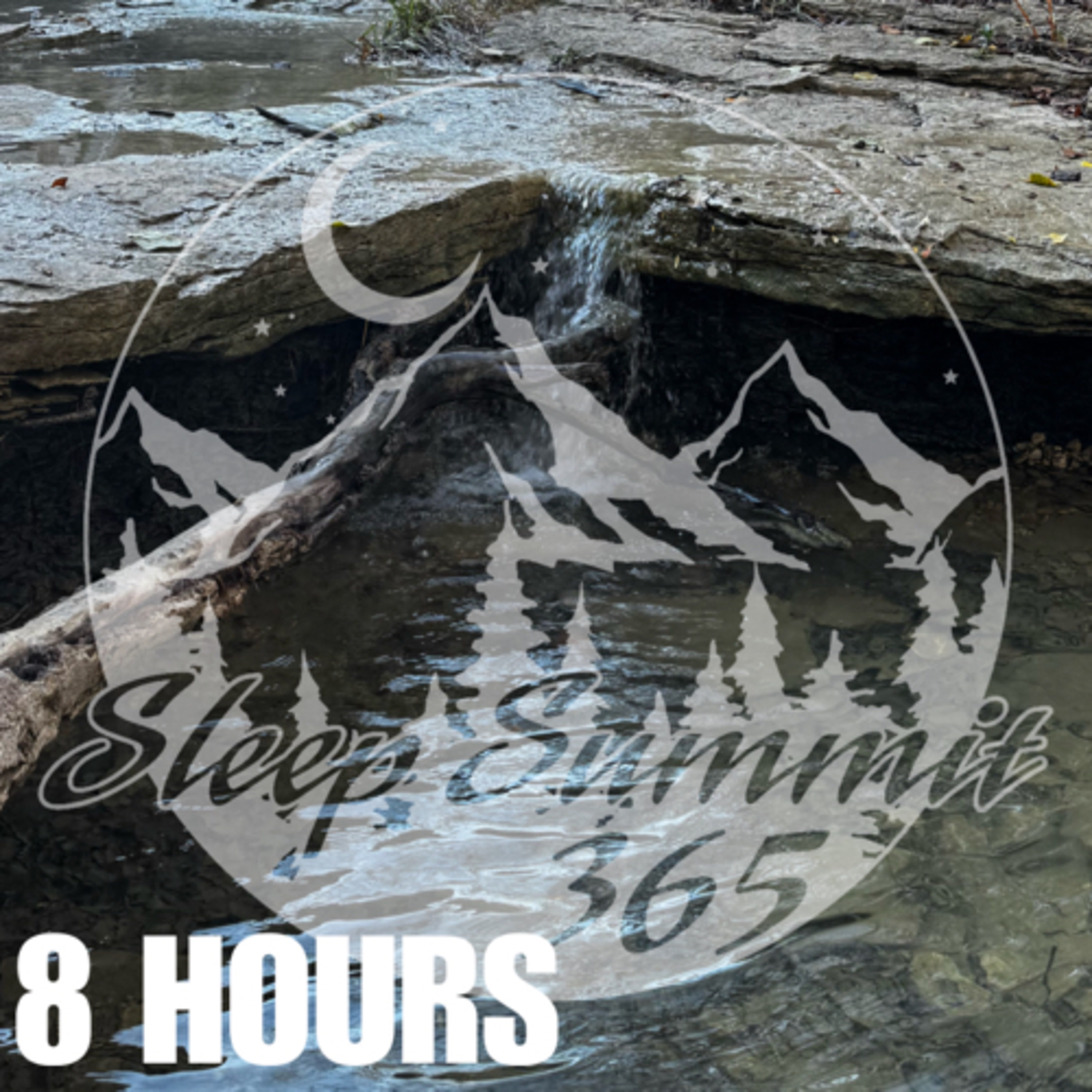 Sleep Summit 3 65 podcast cover