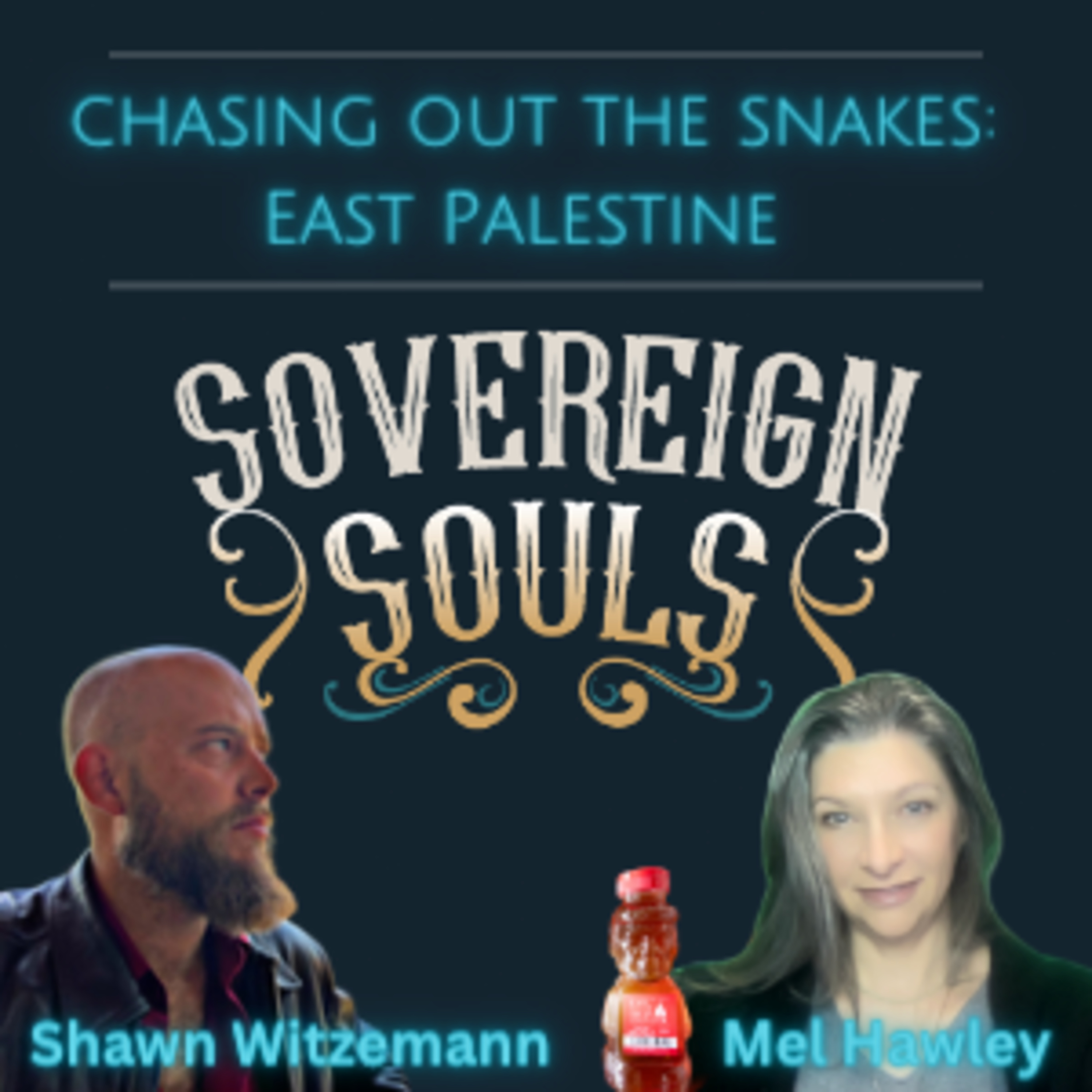 Sovereign Souls Media (Justice In Jeopardy)