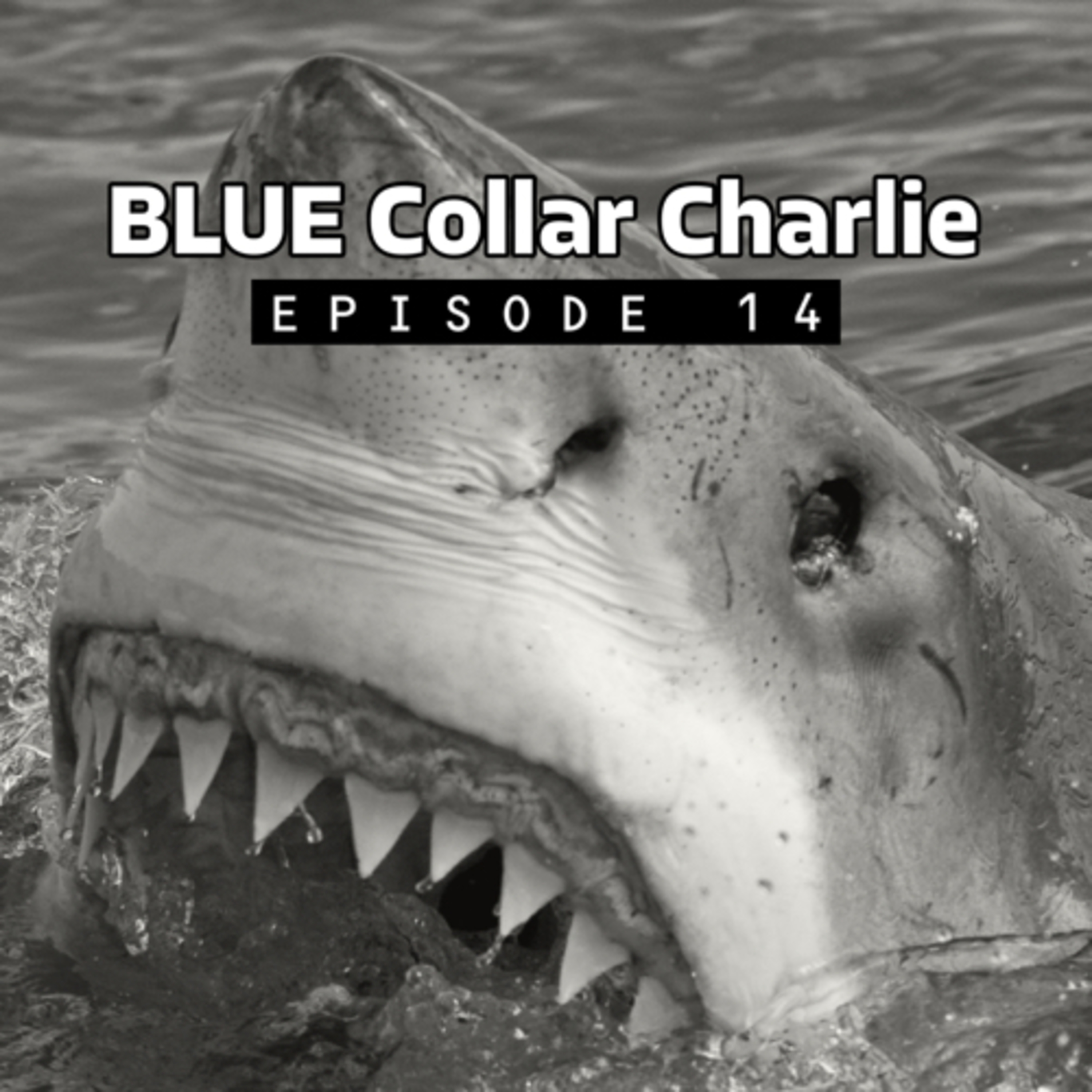 Child Trafficking, When Sharks Attack & More! episode artwork