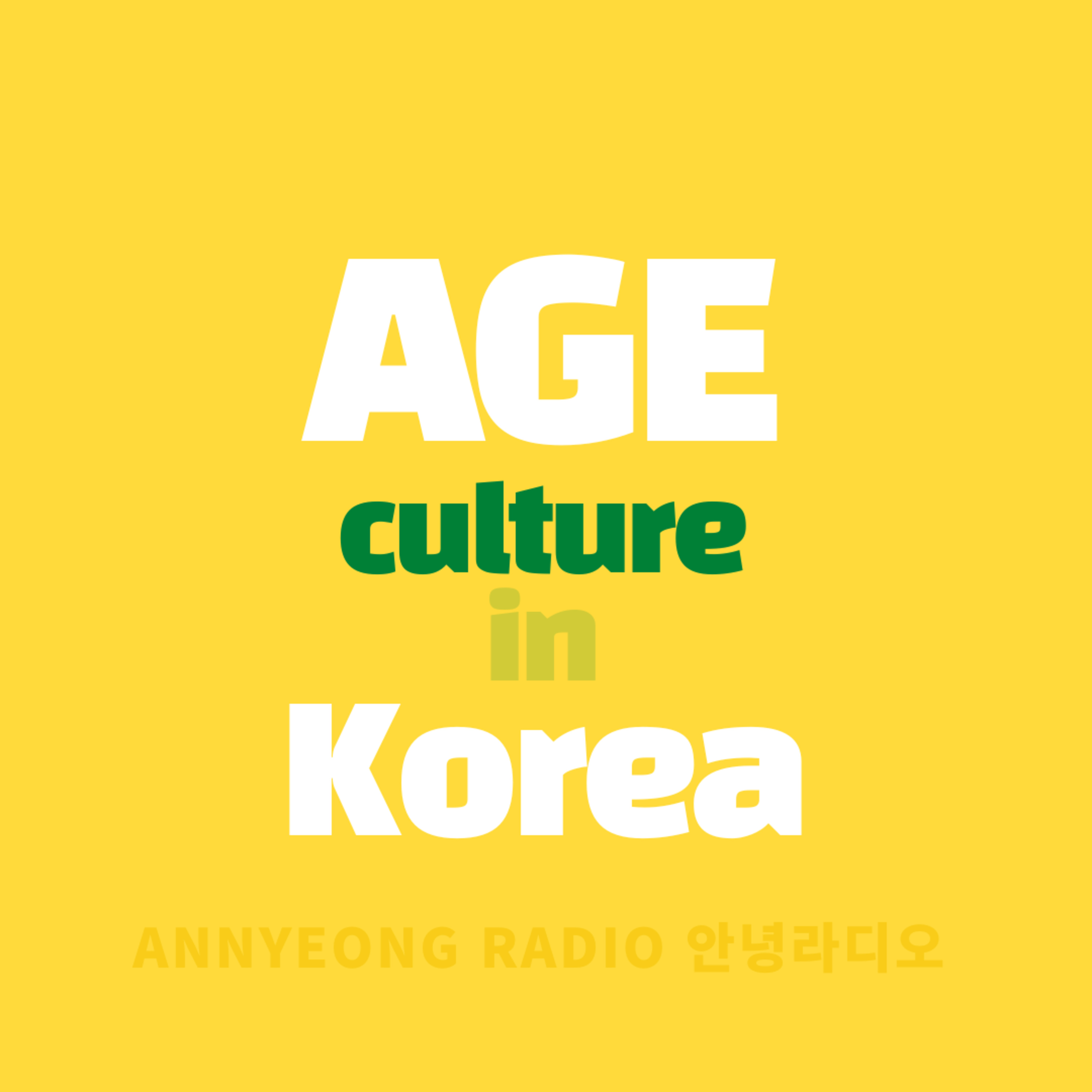 E2 한국의 나이 문화 Age culture in Korea
