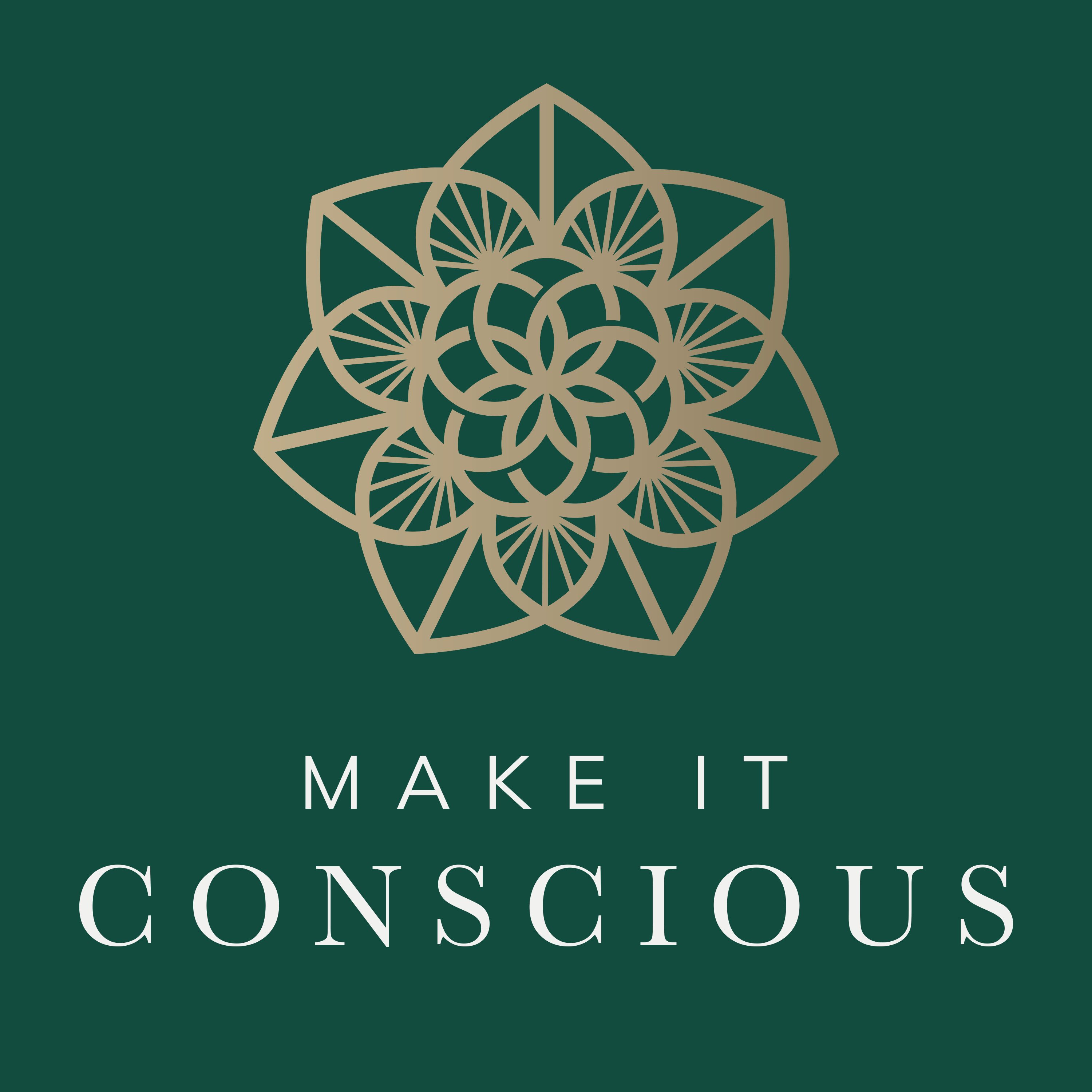 Make It Conscious