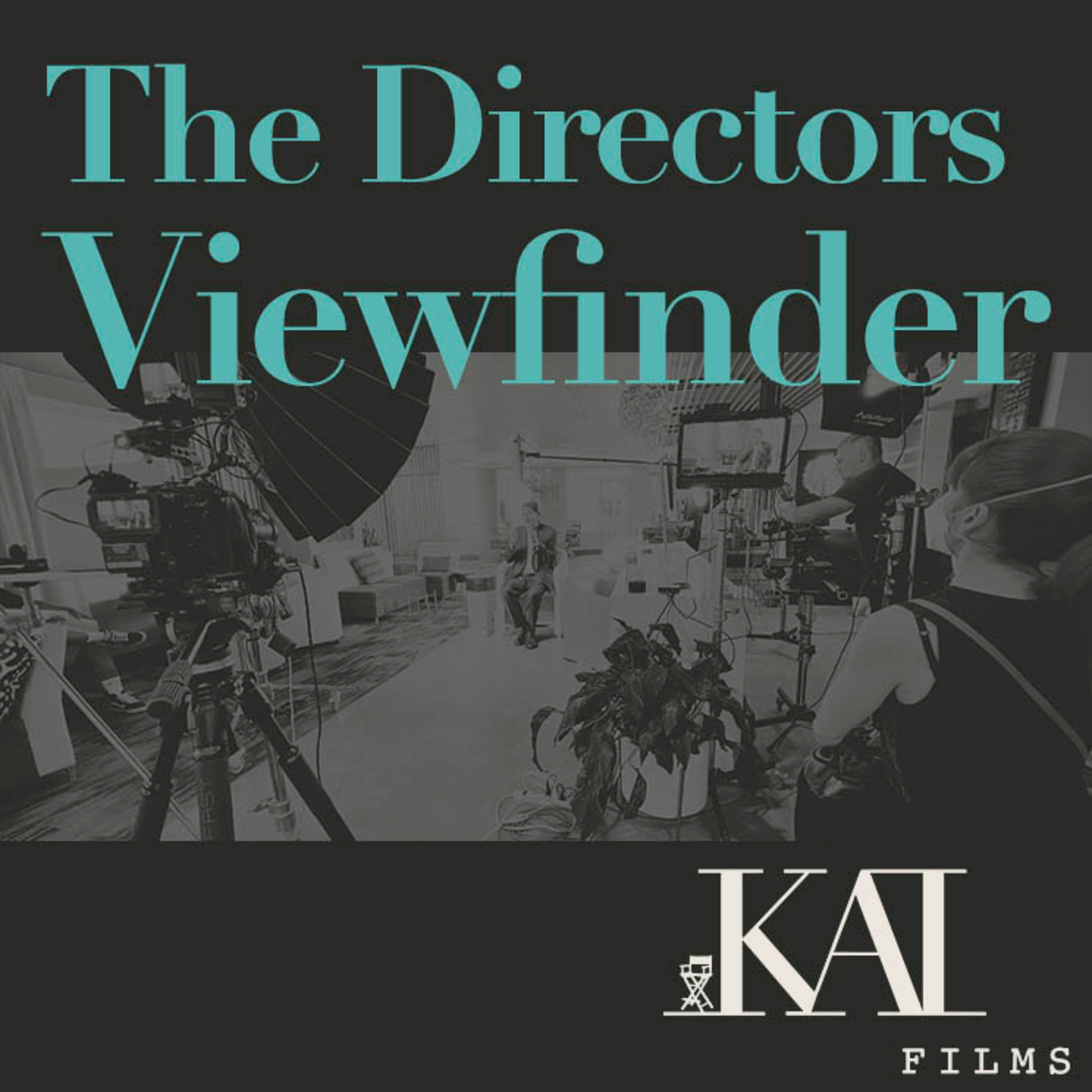 The Directors Viewfinder. Stories and Strategies from the Trenches!